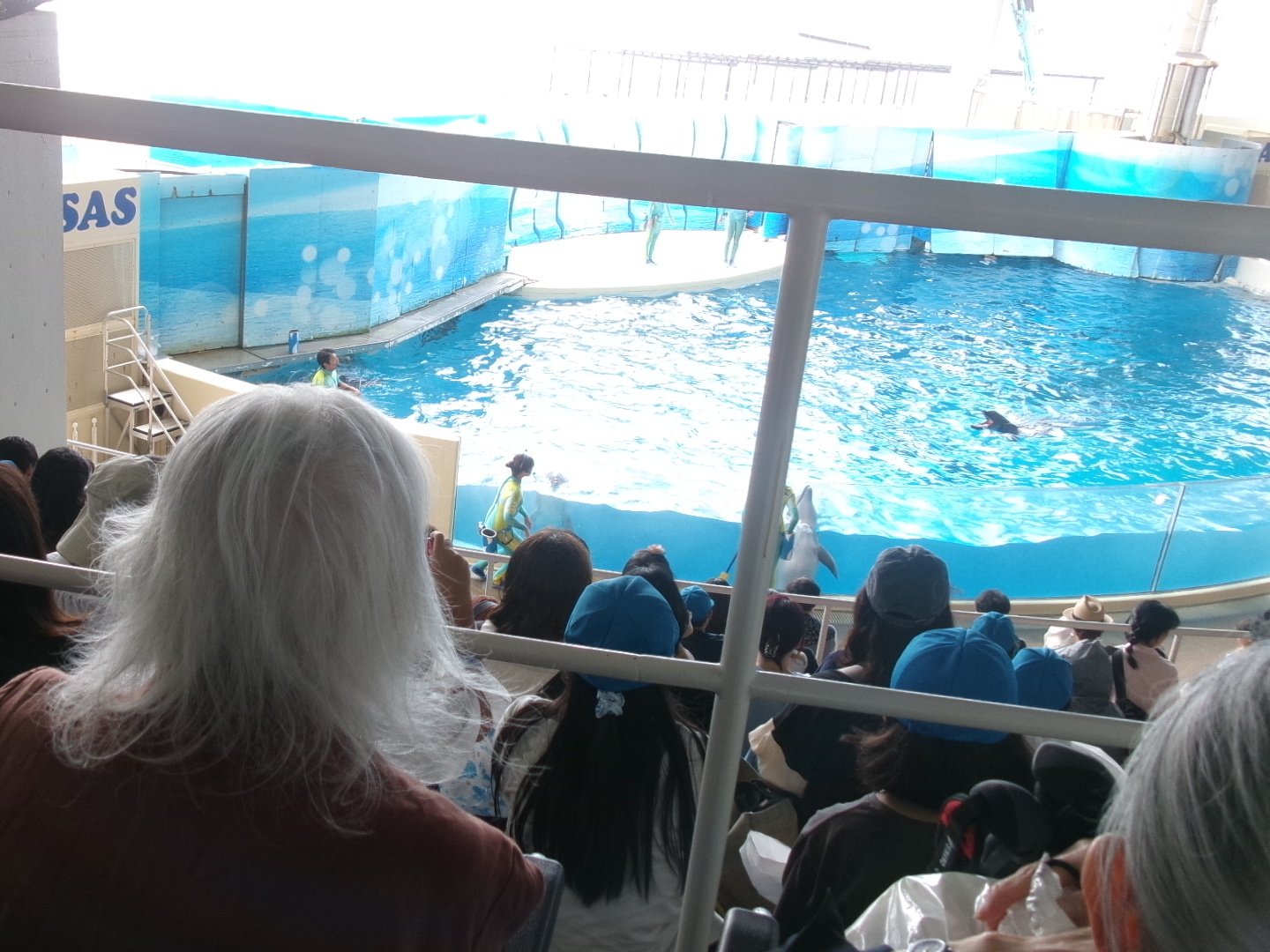 江ノ島の水族館に行ってきました-4　ニチイホーム上星川