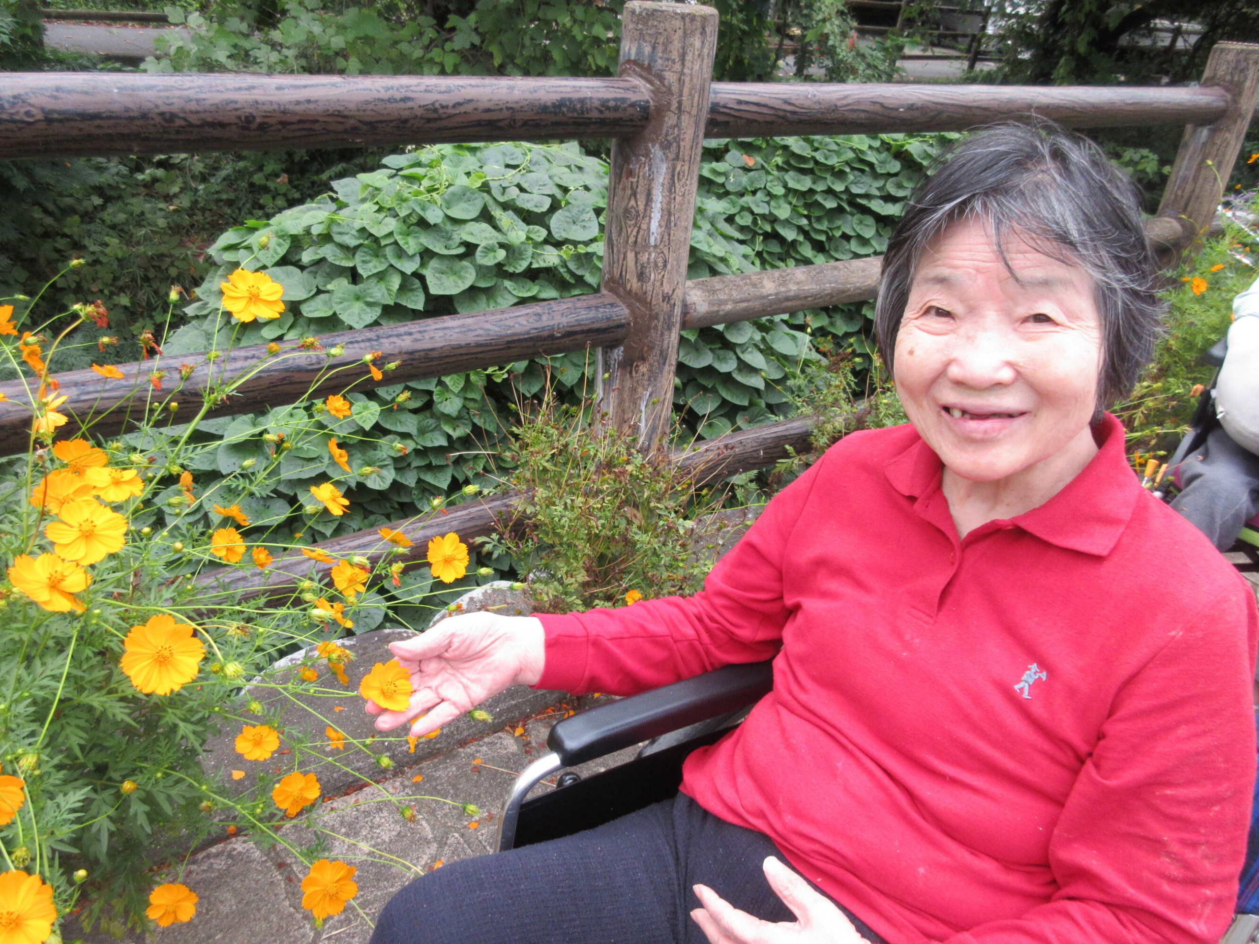 お散歩-2　ニチイホーム登戸