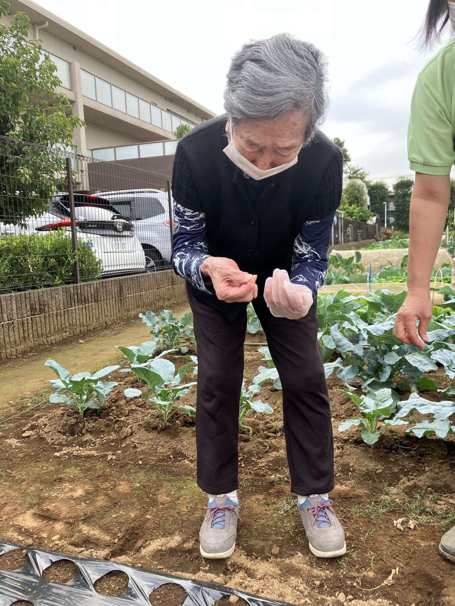 種まき日和 秋の畑活動-2 ニチイホーム都立家政