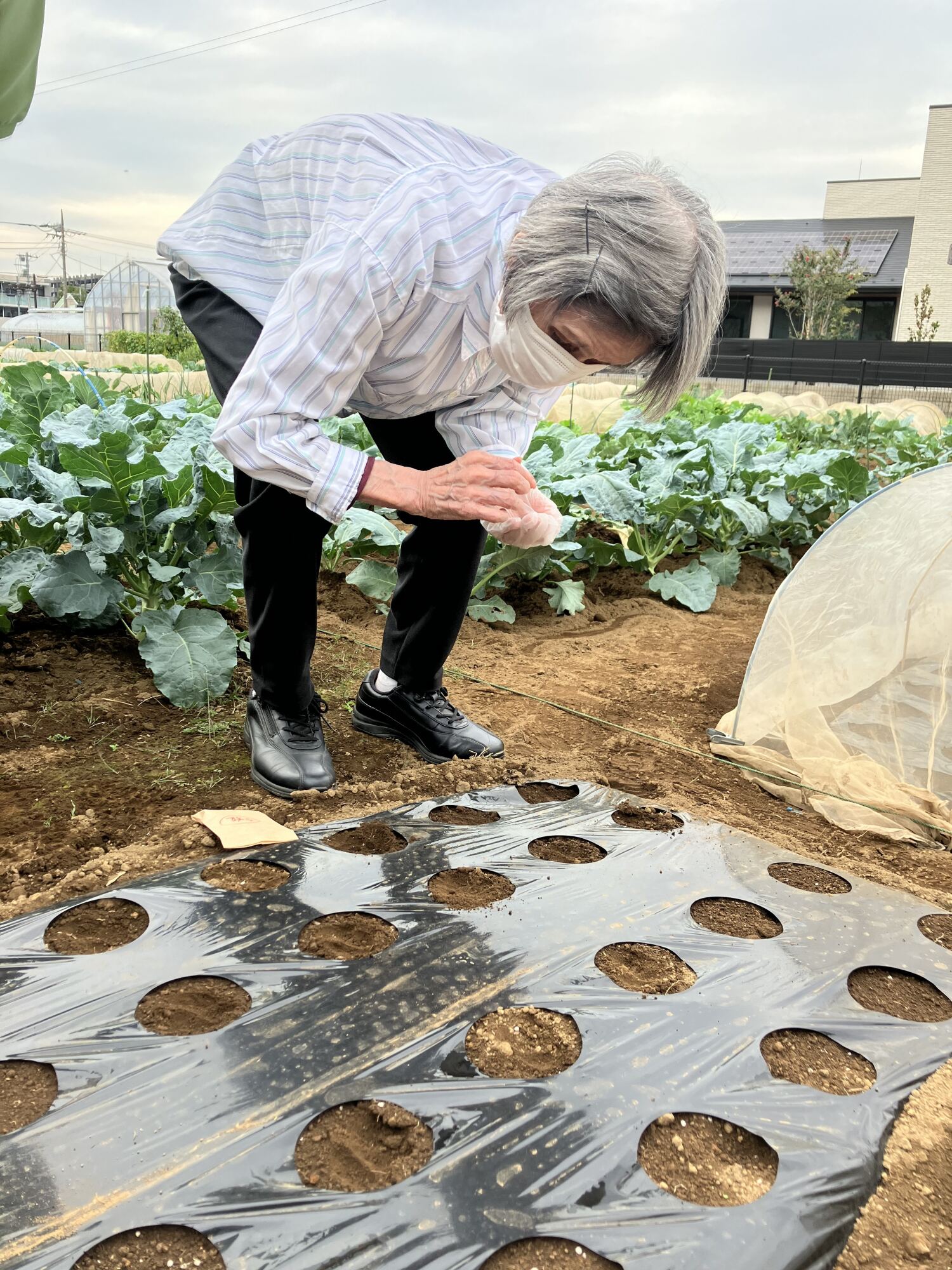 種まき日和 秋の畑活動-3 ニチイホーム都立家政