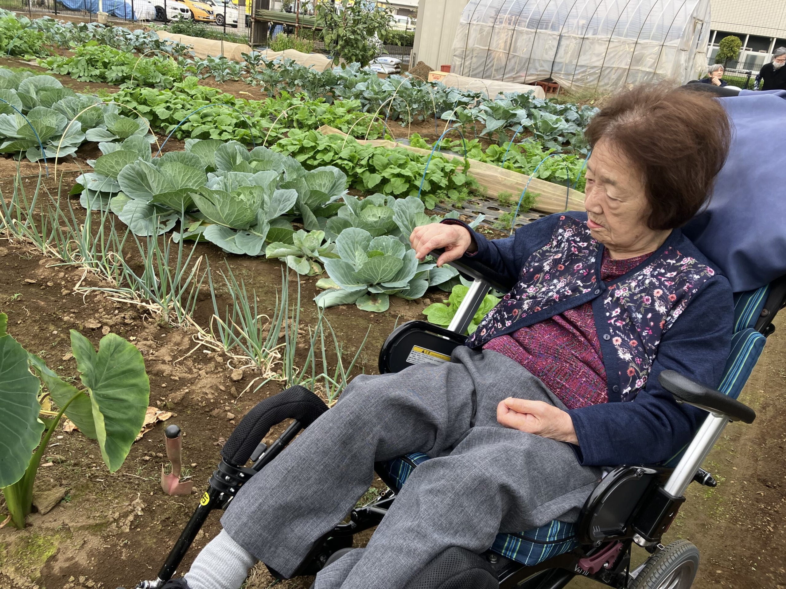 種まき日和 秋の畑活動-4 ニチイホーム都立家政