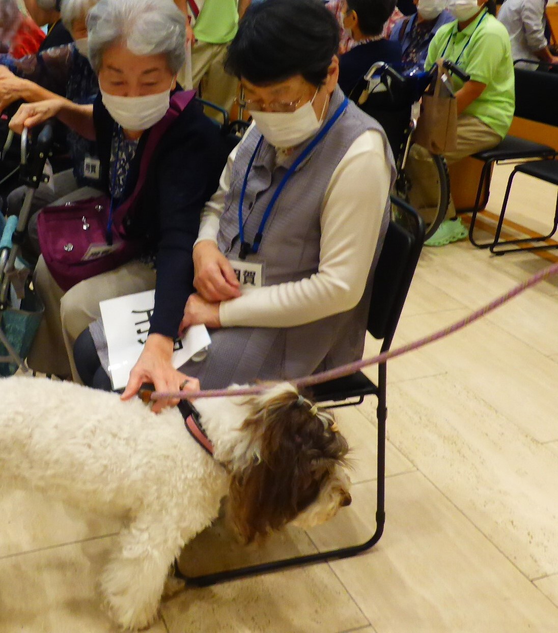 秋の音楽祭2025-5　ニチイホーム用賀