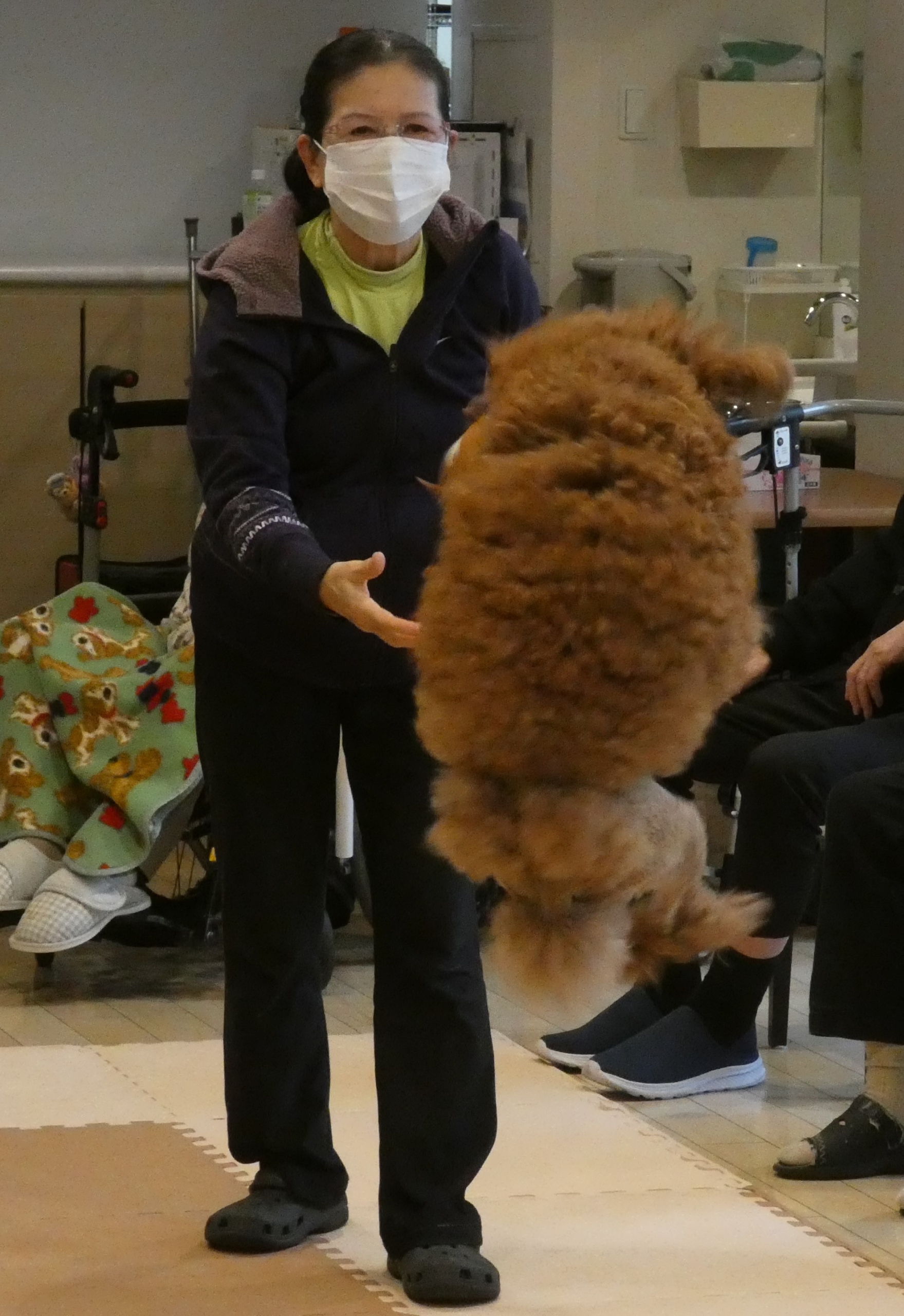 ニチイメゾン北豊島20251112ドッグセラピー2