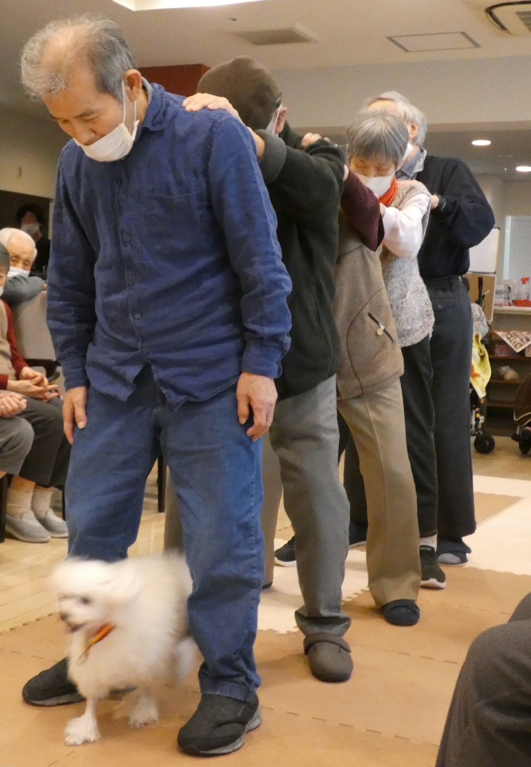 ニチイメゾン北豊島20251112ドッグセラピー3