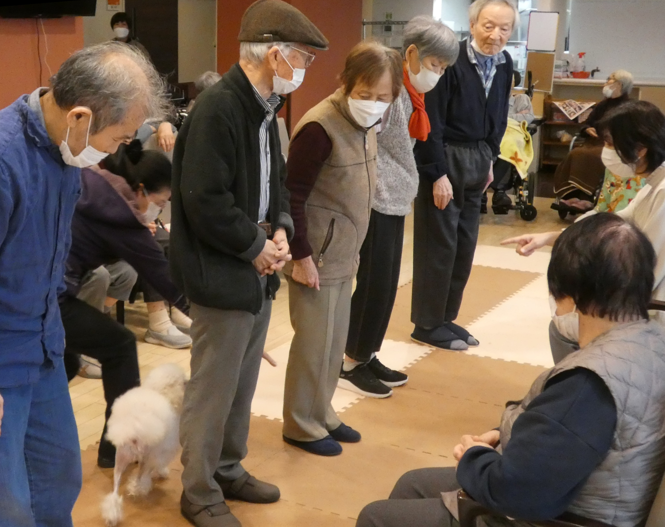 ニチイメゾン北豊島20251112ドッグセラピー4