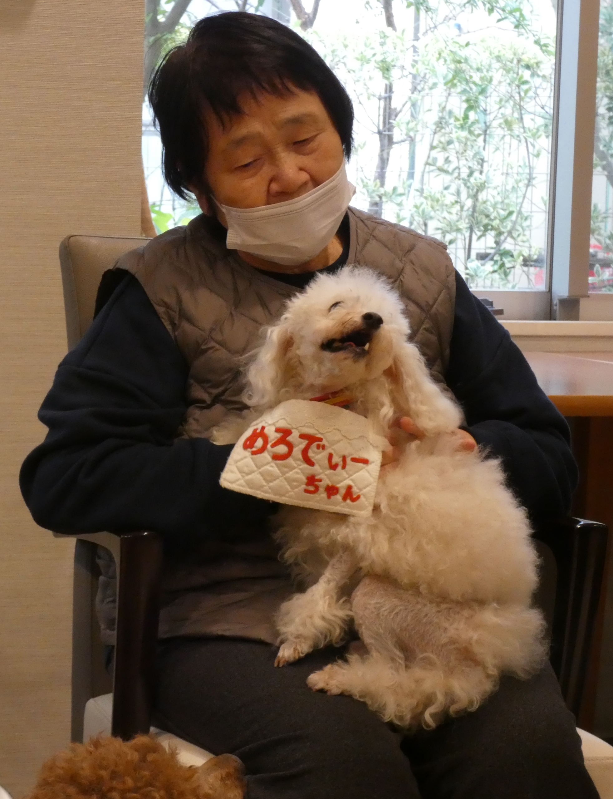 ニチイメゾン北豊島20251112ドッグセラピー5