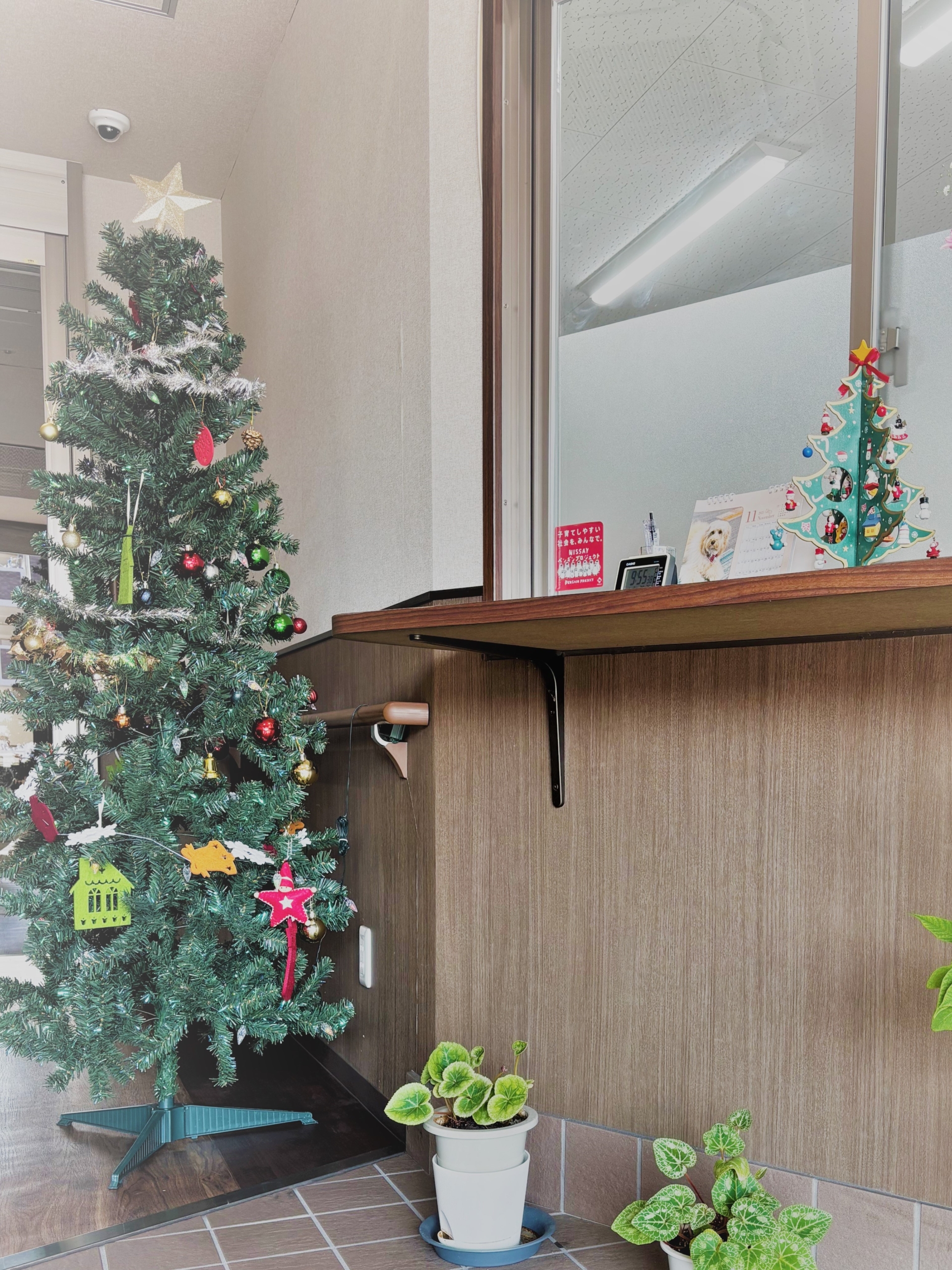 ニチイメゾン南草津Ⅱ番館20251101クリスマスの飾りつけ4