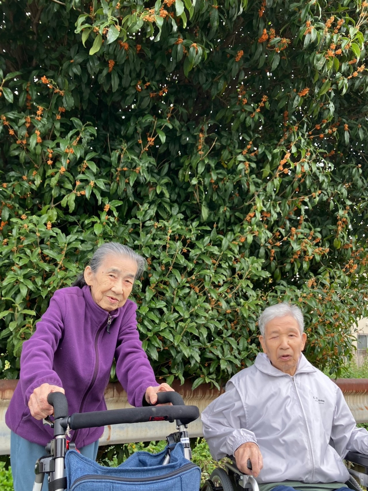 ニチイメゾン栗東20251113お散歩２