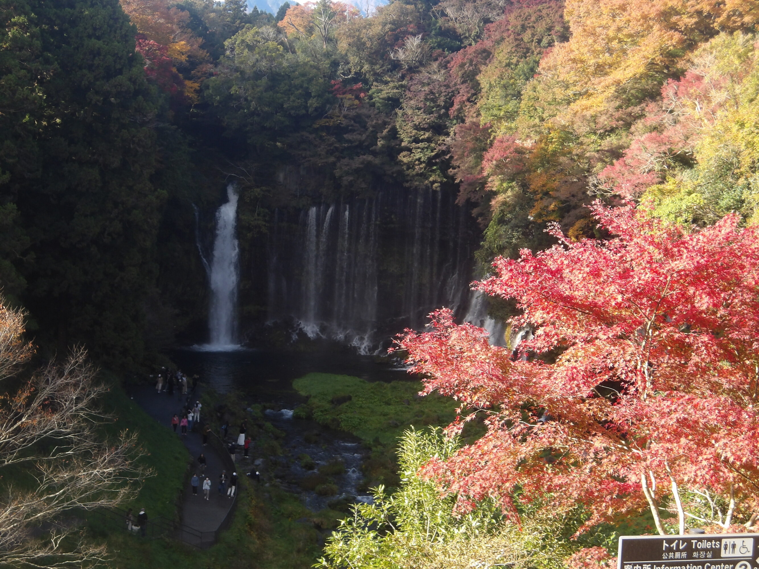 合同イベントでバス旅行-4　ニチイホーム東府中