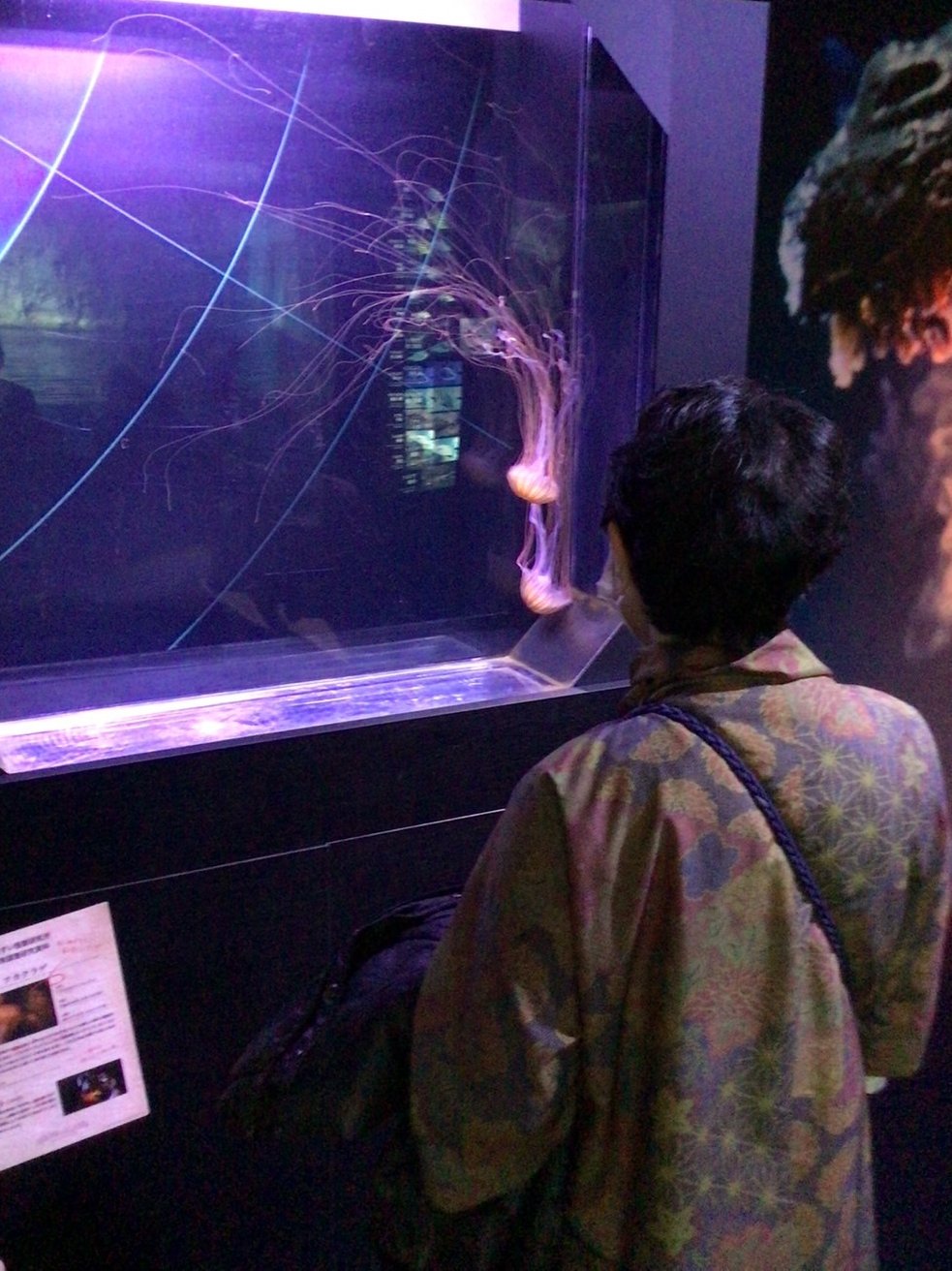 江の島へ-3　ニチイホーム板橋徳丸