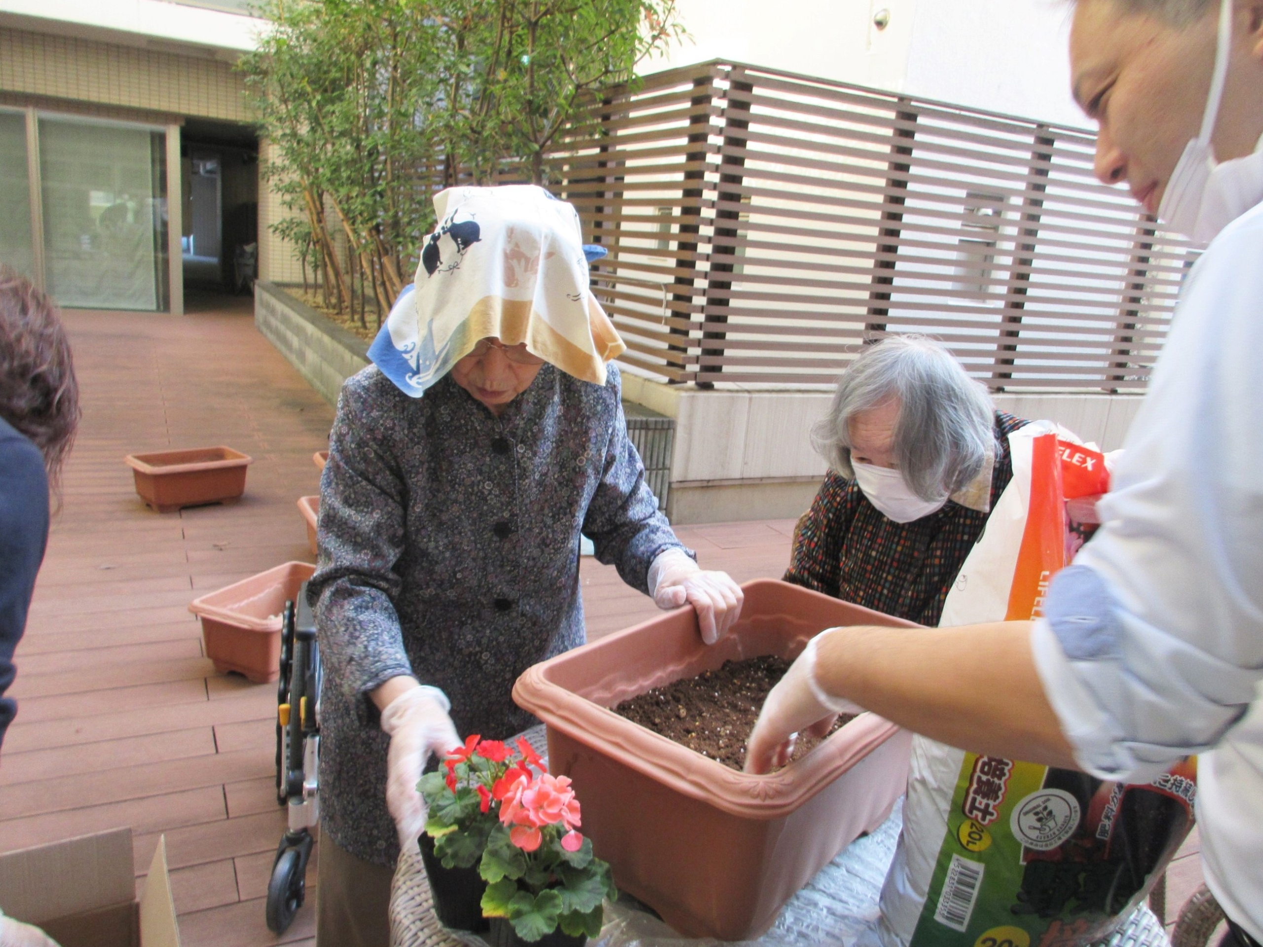 園芸サークル-2 ニチイホーム勝どき