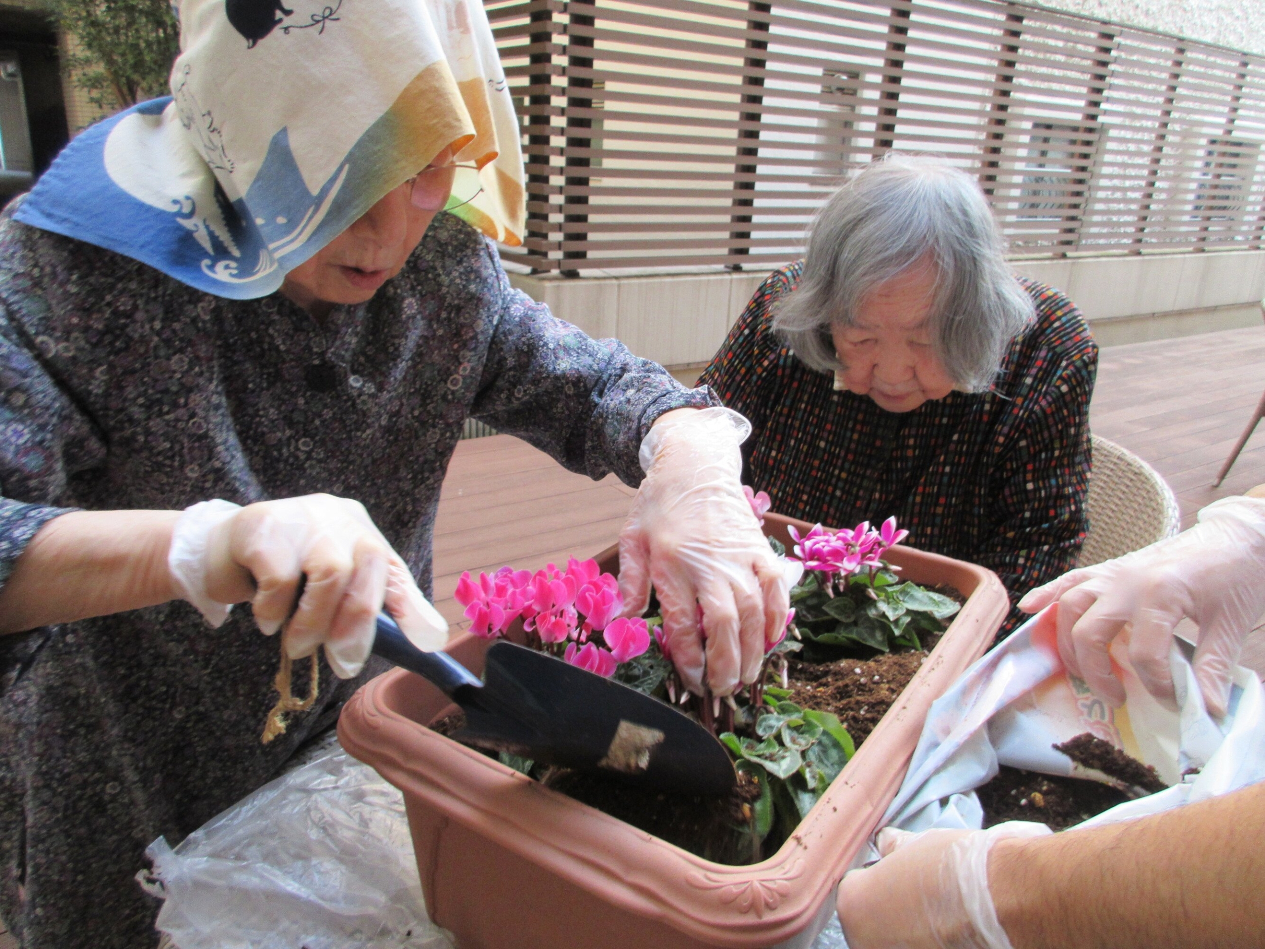 園芸サークル-3 ニチイホーム勝どき