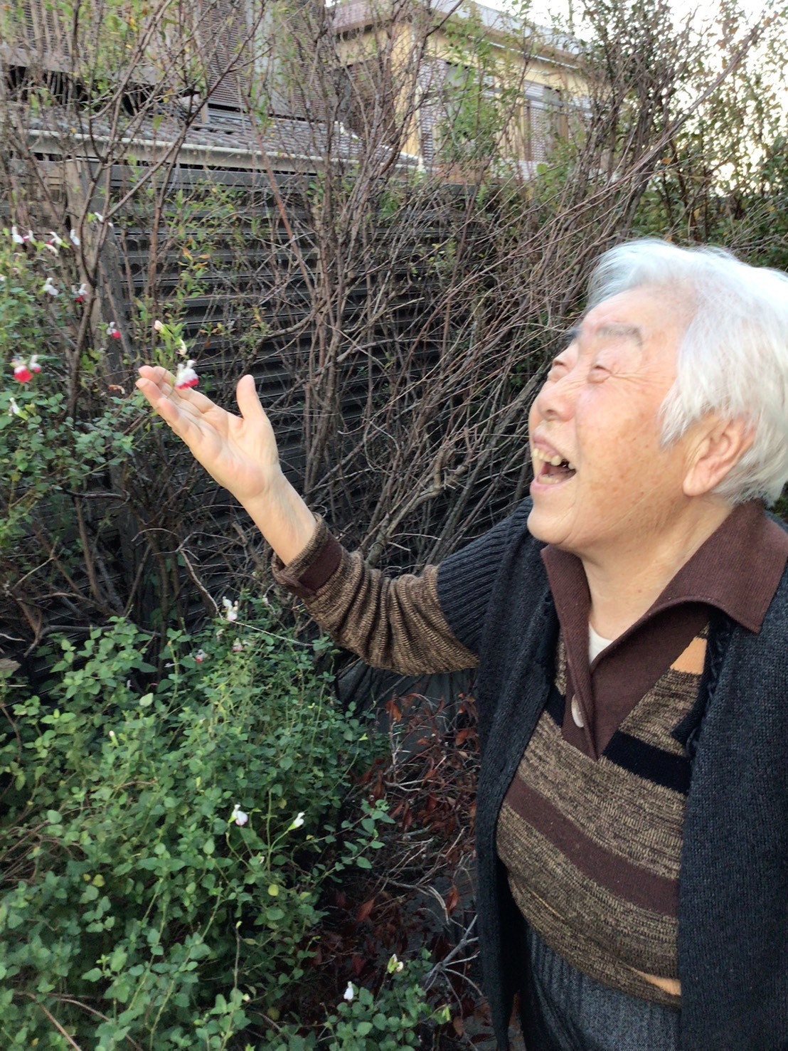 秋風を感じて-2　ニチイホーム北浦和