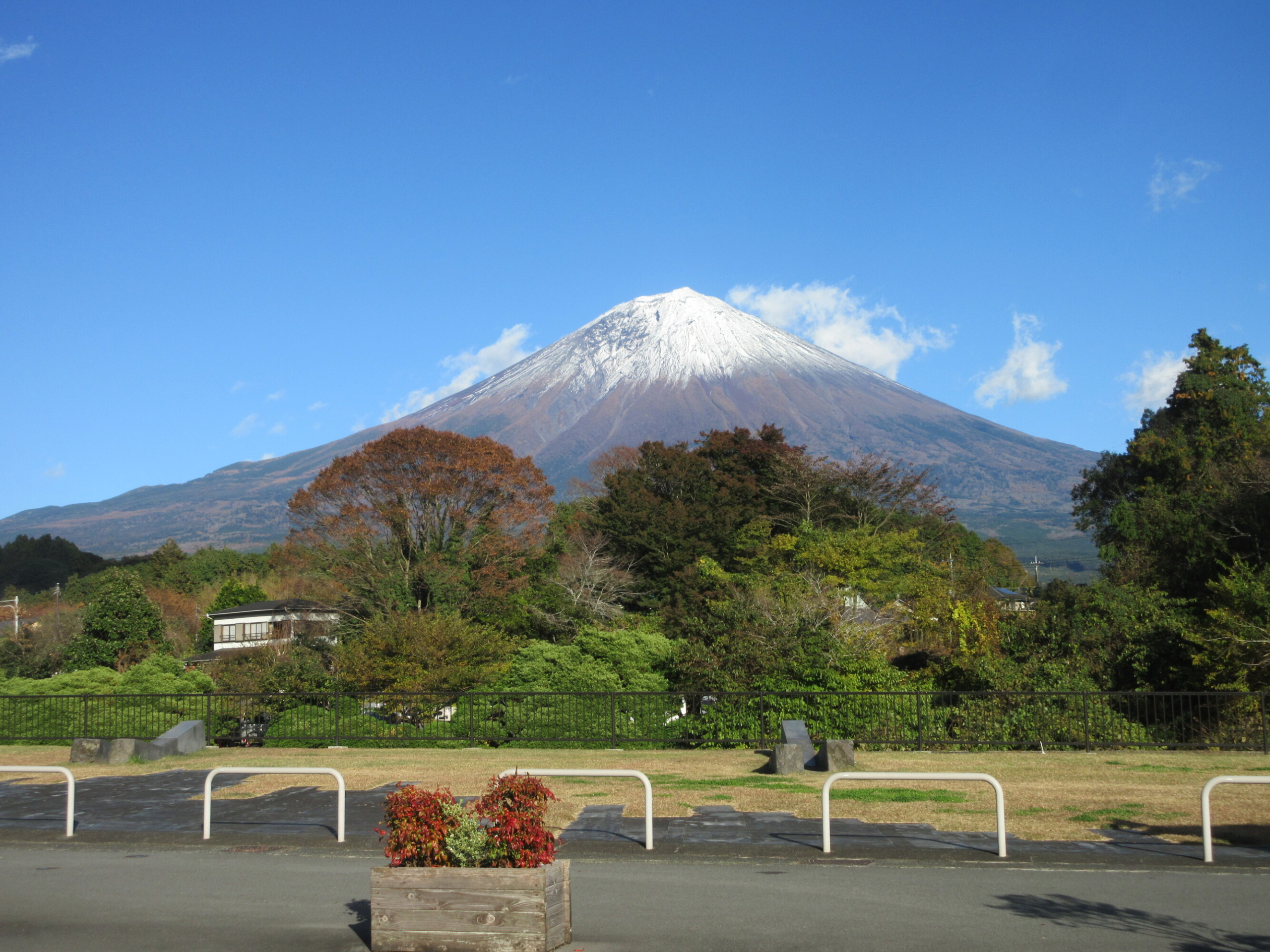 秋の遠足に行ってきました!-1 ニチイホーム国立