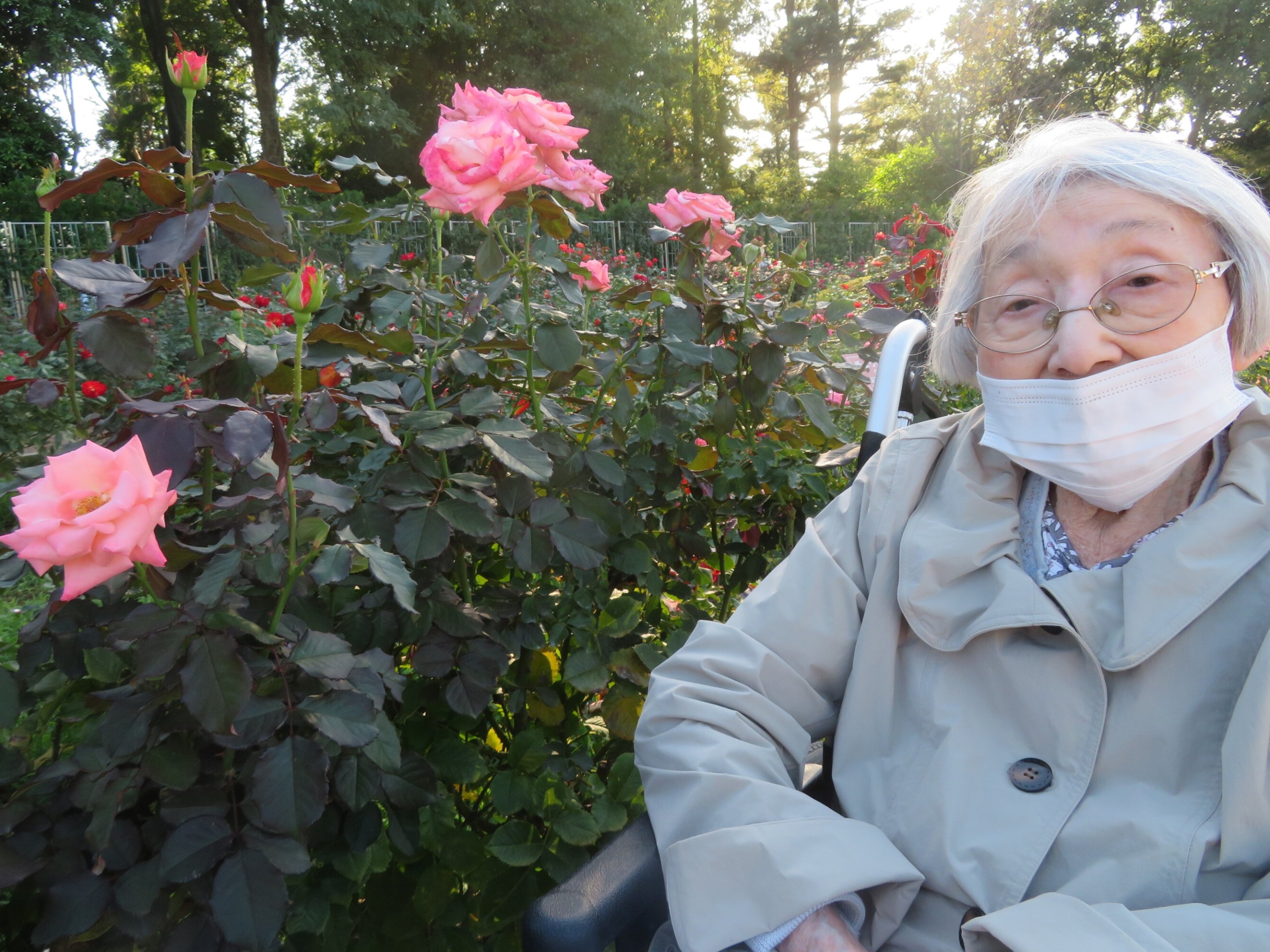 神代植物公園バラフェスタ-1 ニチイホーム三鷹Ⅱ番館