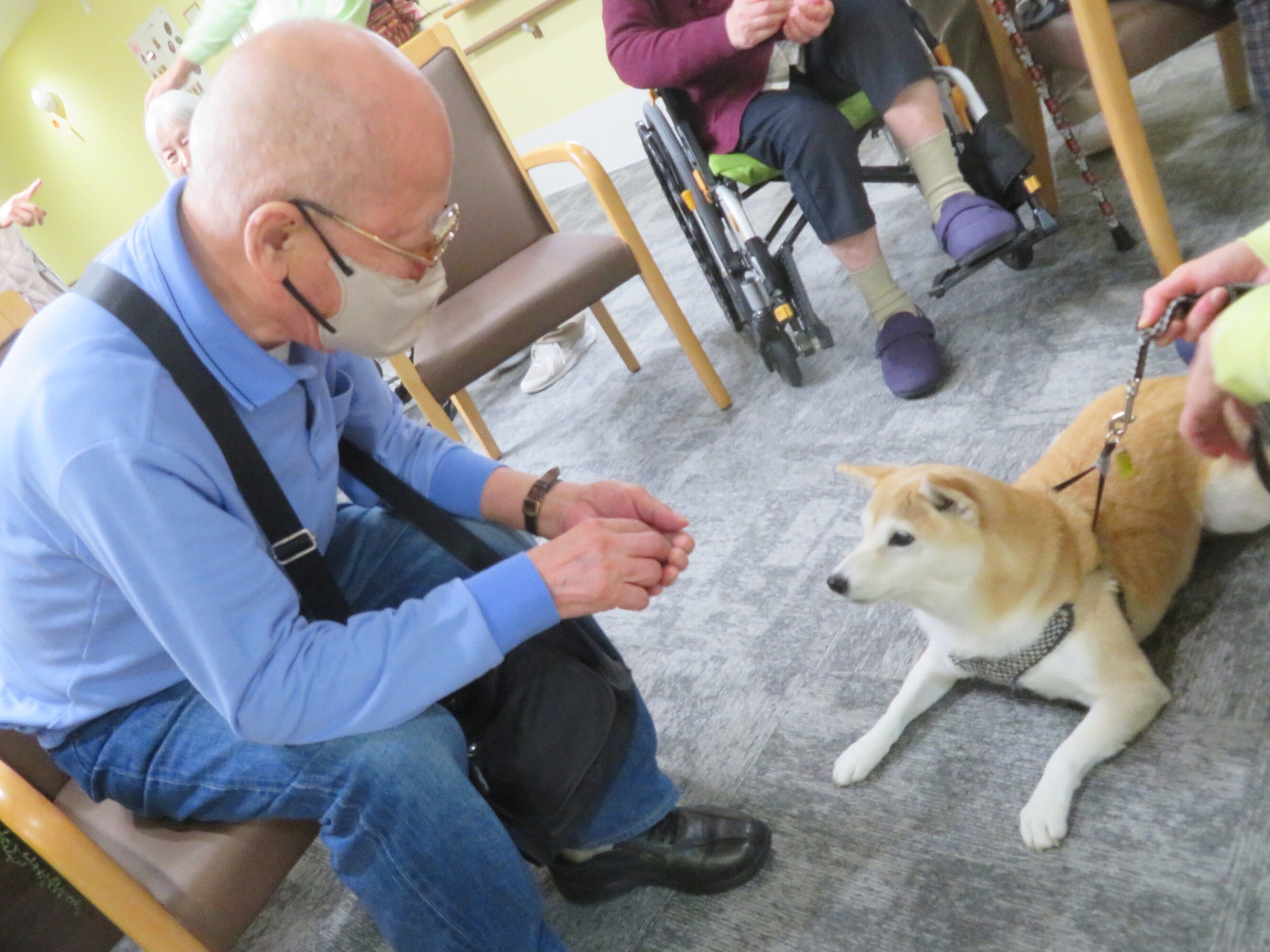 犬とのふれあい-1 ニチイホーム三鷹Ⅱ番館