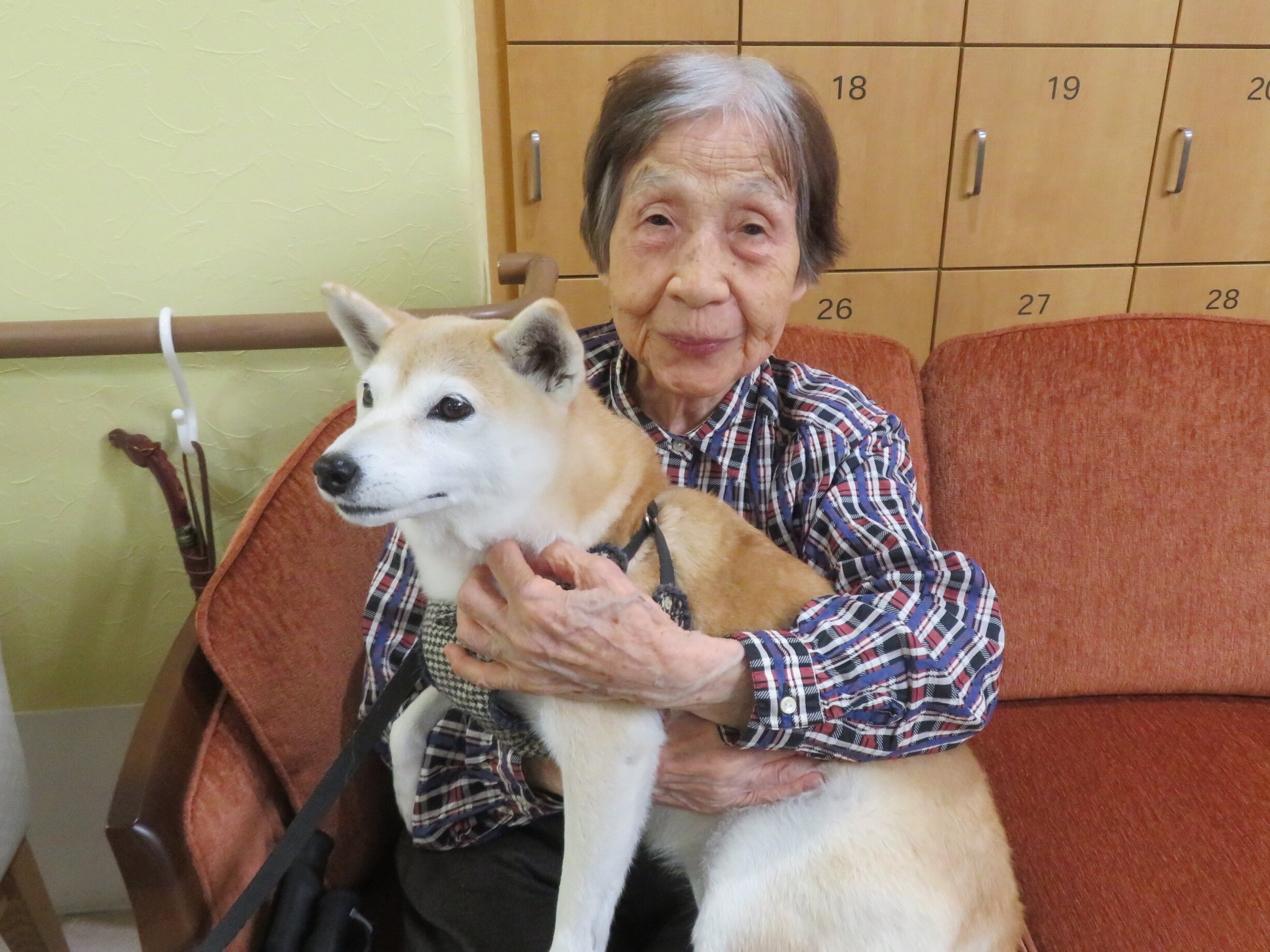 犬とのふれあい-2 ニチイホーム三鷹Ⅱ番館