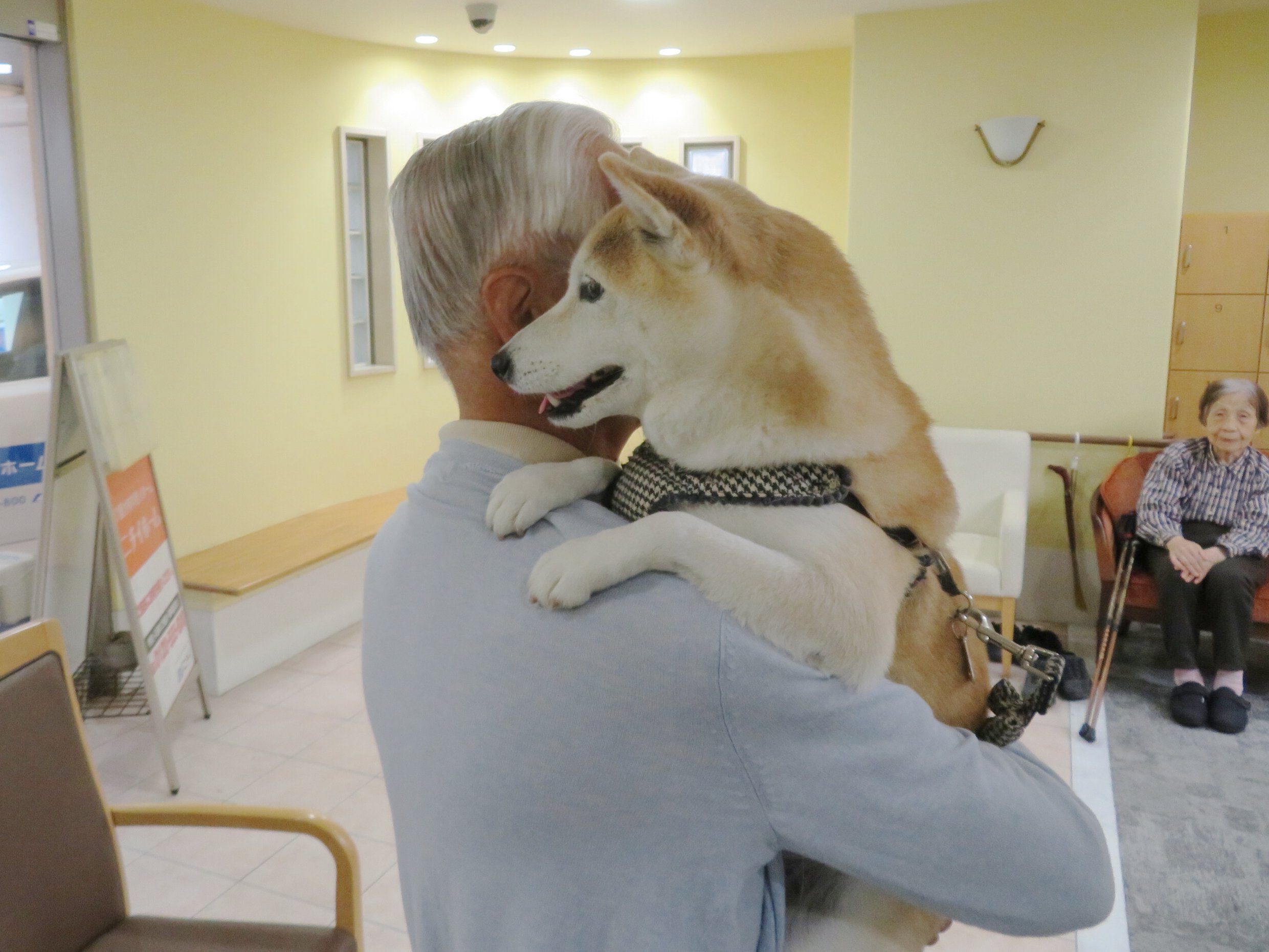 犬とのふれあい-3 ニチイホーム三鷹Ⅱ番館