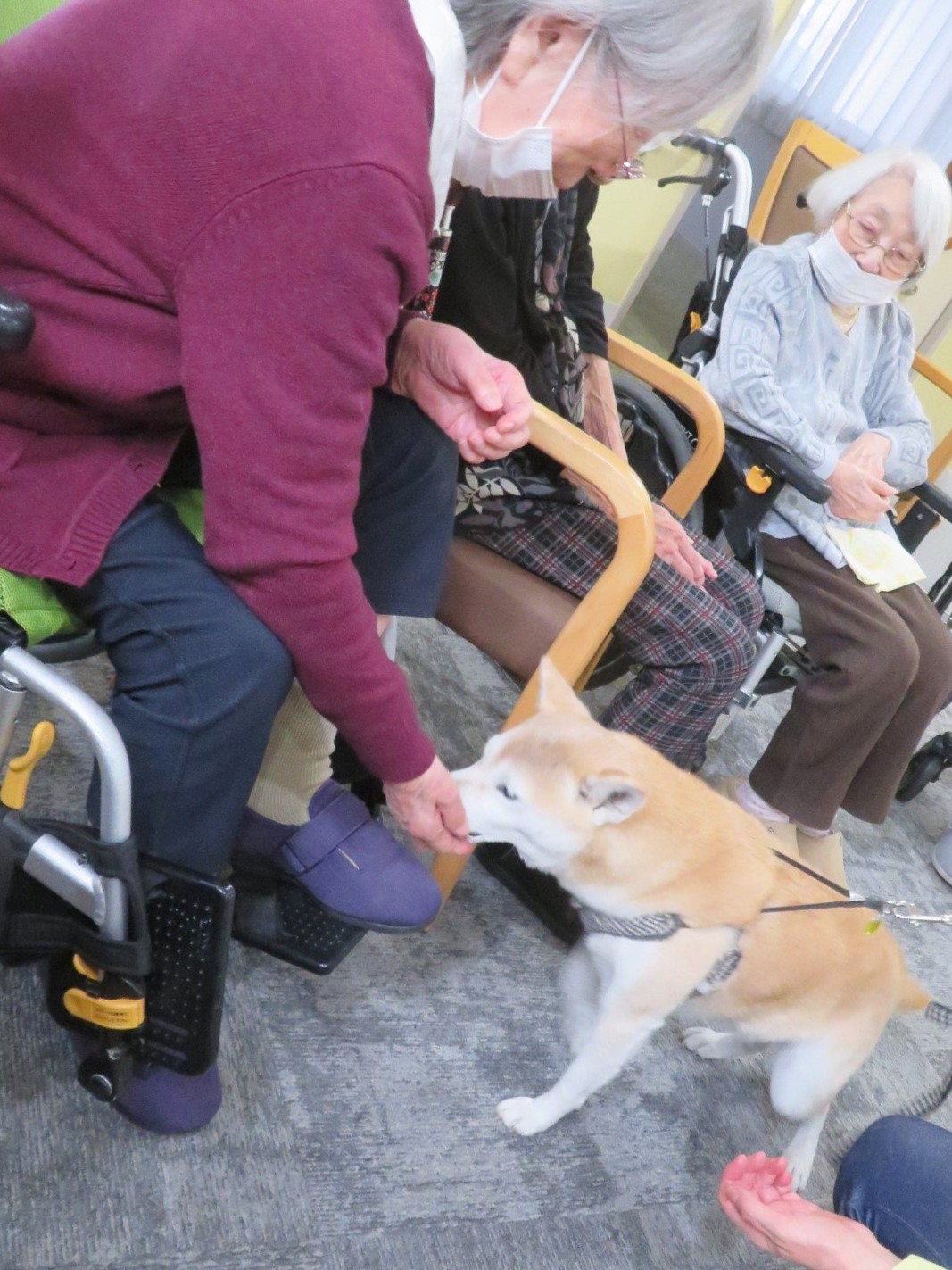 犬とのふれあい-4 ニチイホーム三鷹Ⅱ番館