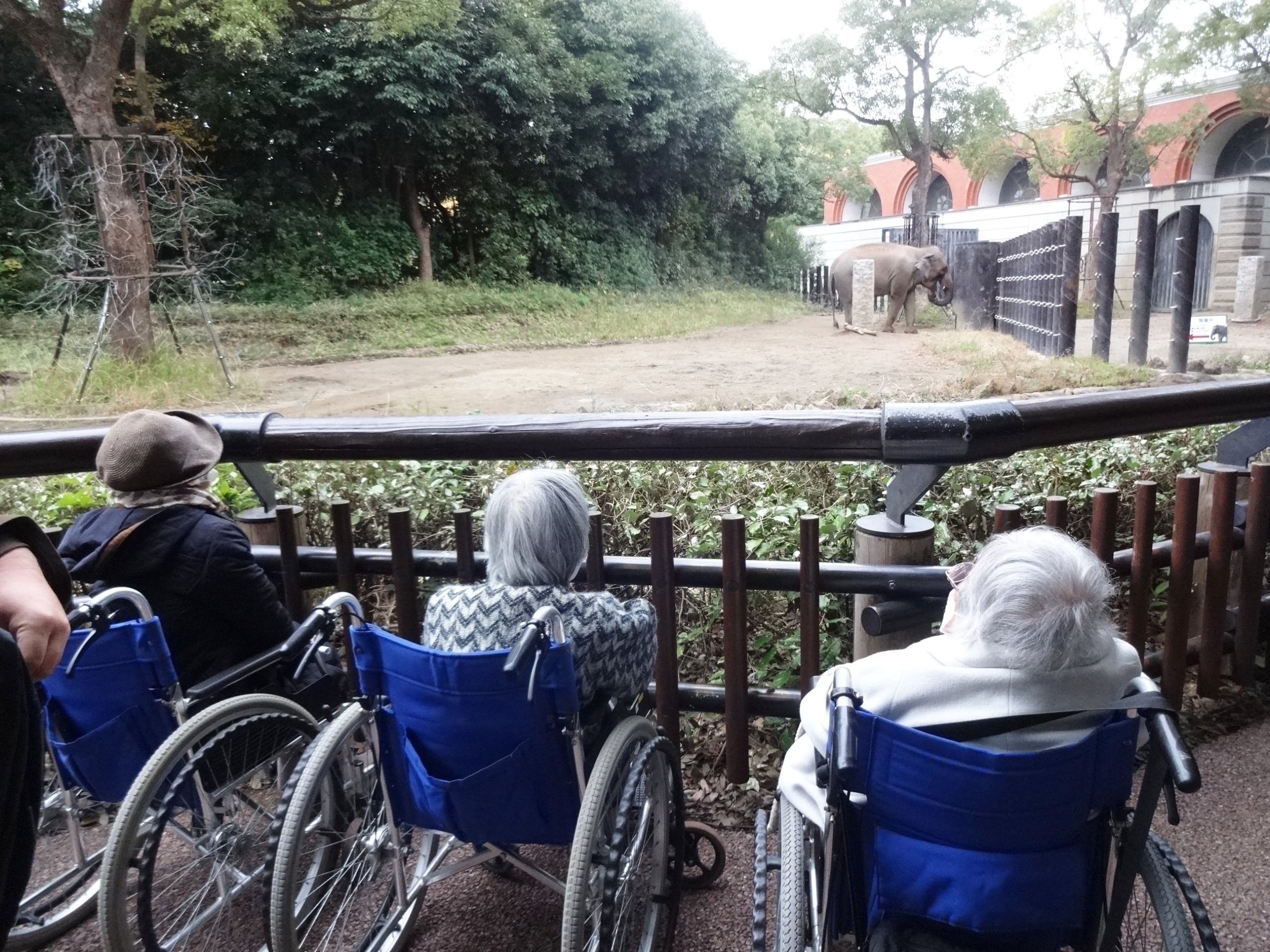合同イベントで動物園へ-1 ニチイホーム元住吉