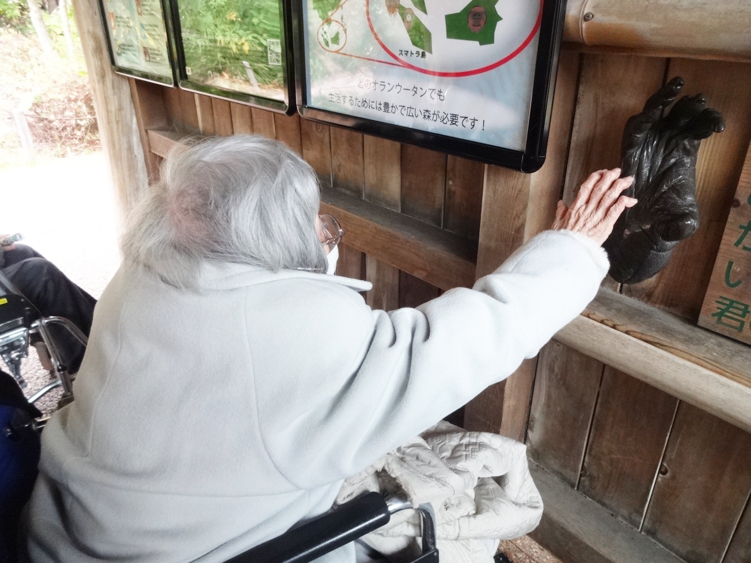 合同イベントで動物園へ-2 ニチイホーム元住吉
