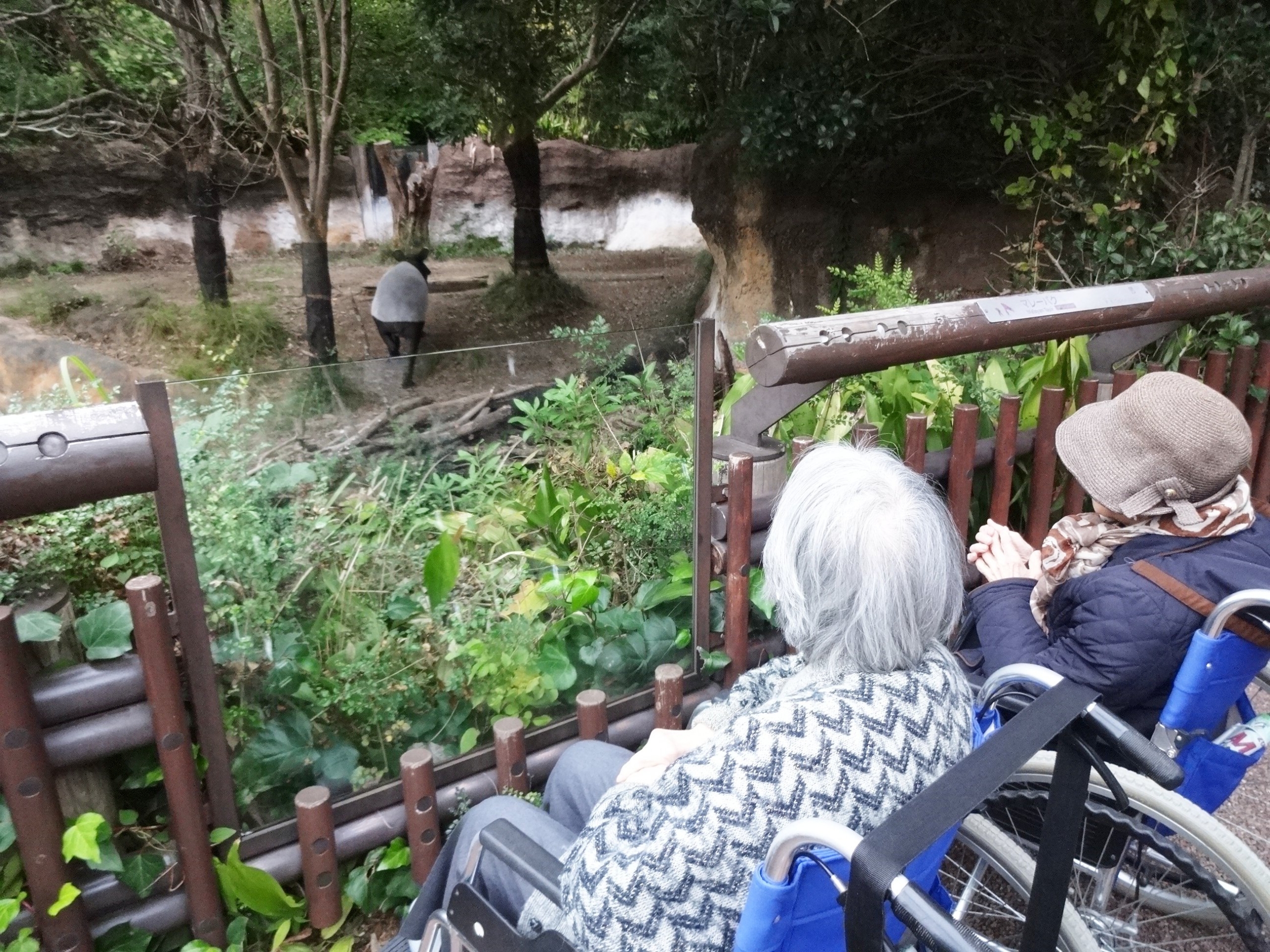 合同イベントで動物園へ-3 ニチイホーム元住吉