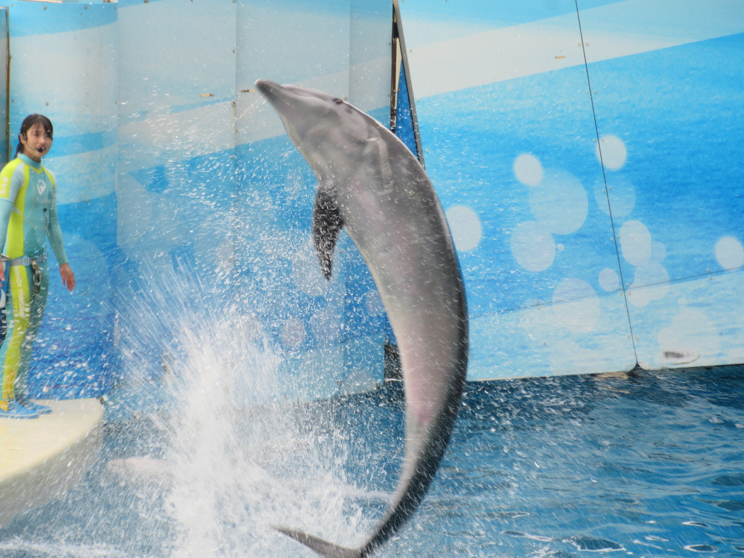 一日江ノ島ぶらり旅-3　ニチイホーム中野南台