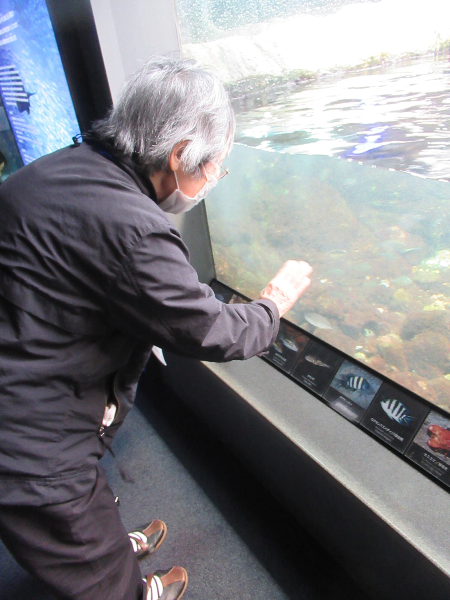 一日江ノ島ぶらり旅-4　ニチイホーム中野南台