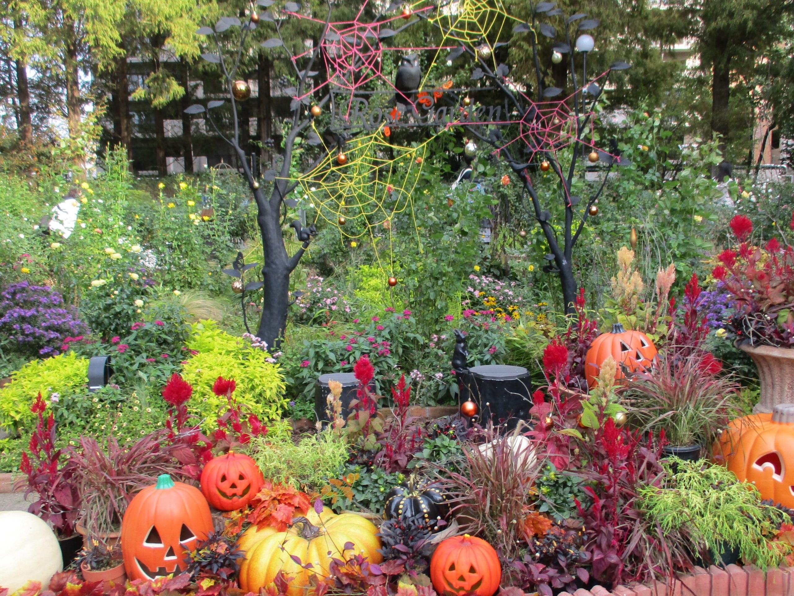 ローズガーデンに行きました-3 ニチイホーム杉並堀ノ内