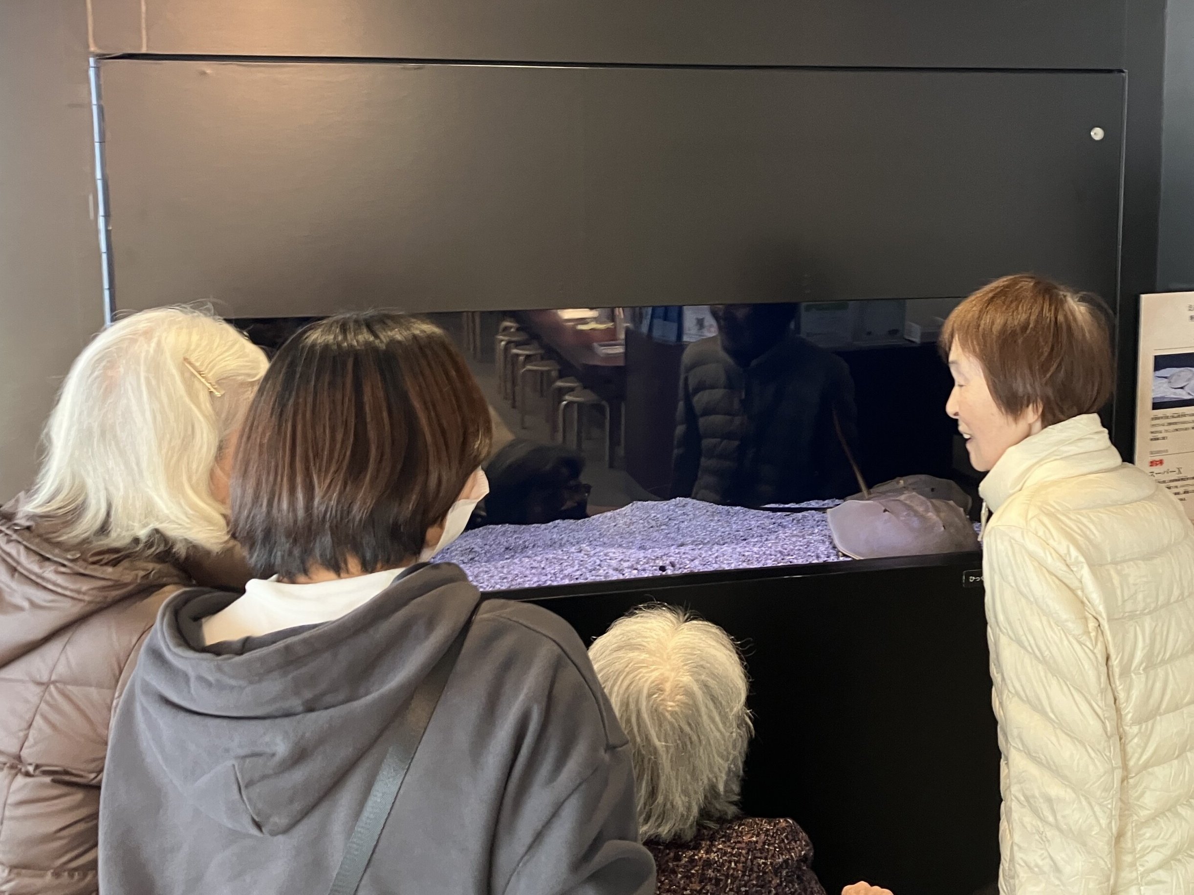 合同・外出イベントで江ノ島へ-2　ニチイホーム杉並松庵