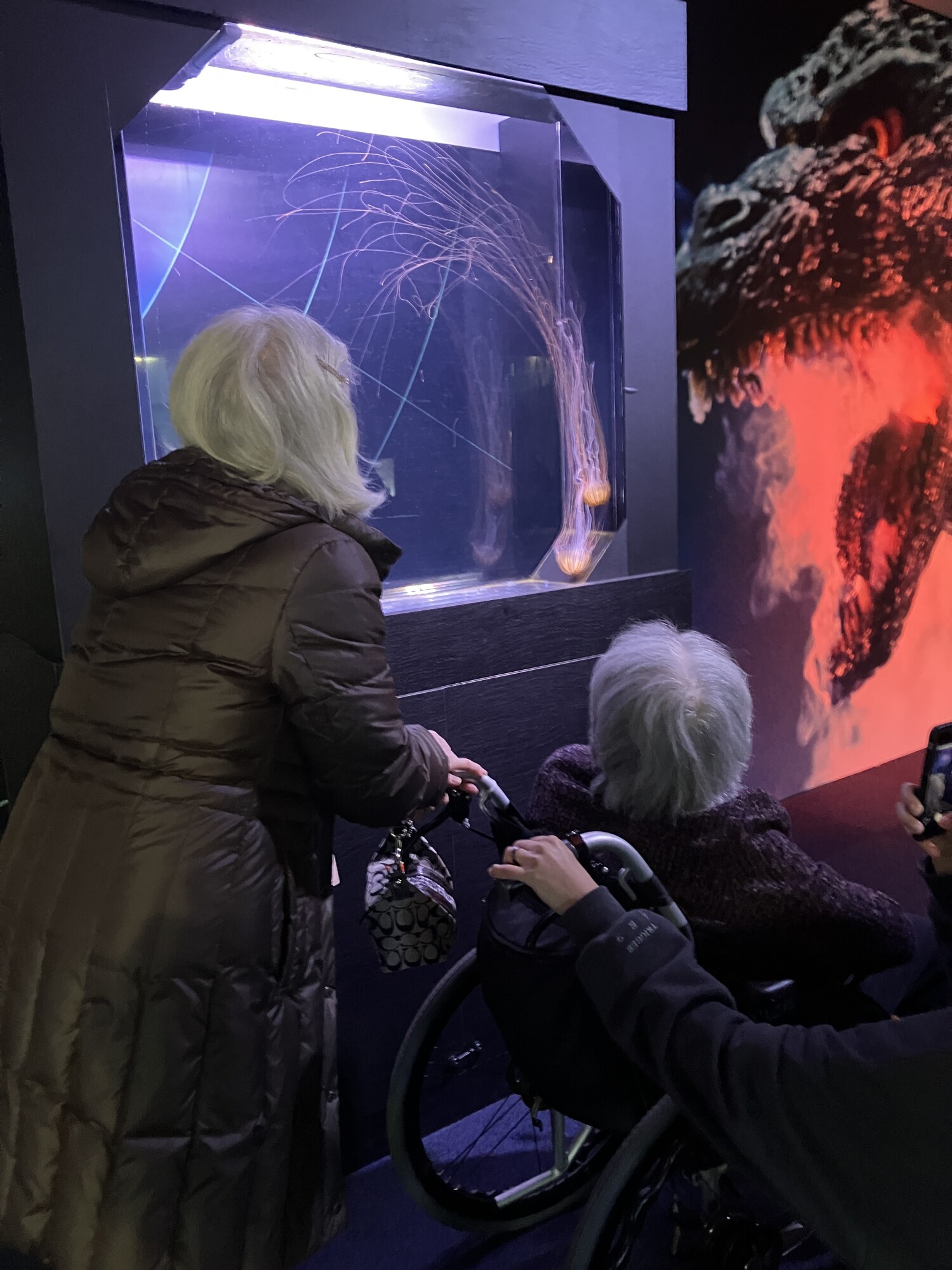 合同・外出イベントで江ノ島へ-3　ニチイホーム杉並松庵