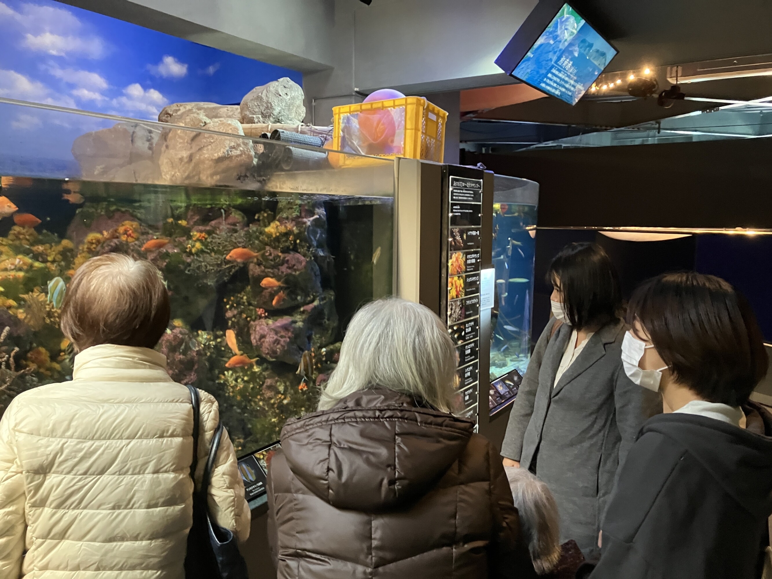 合同・外出イベントで江ノ島へ-4　ニチイホーム杉並松庵