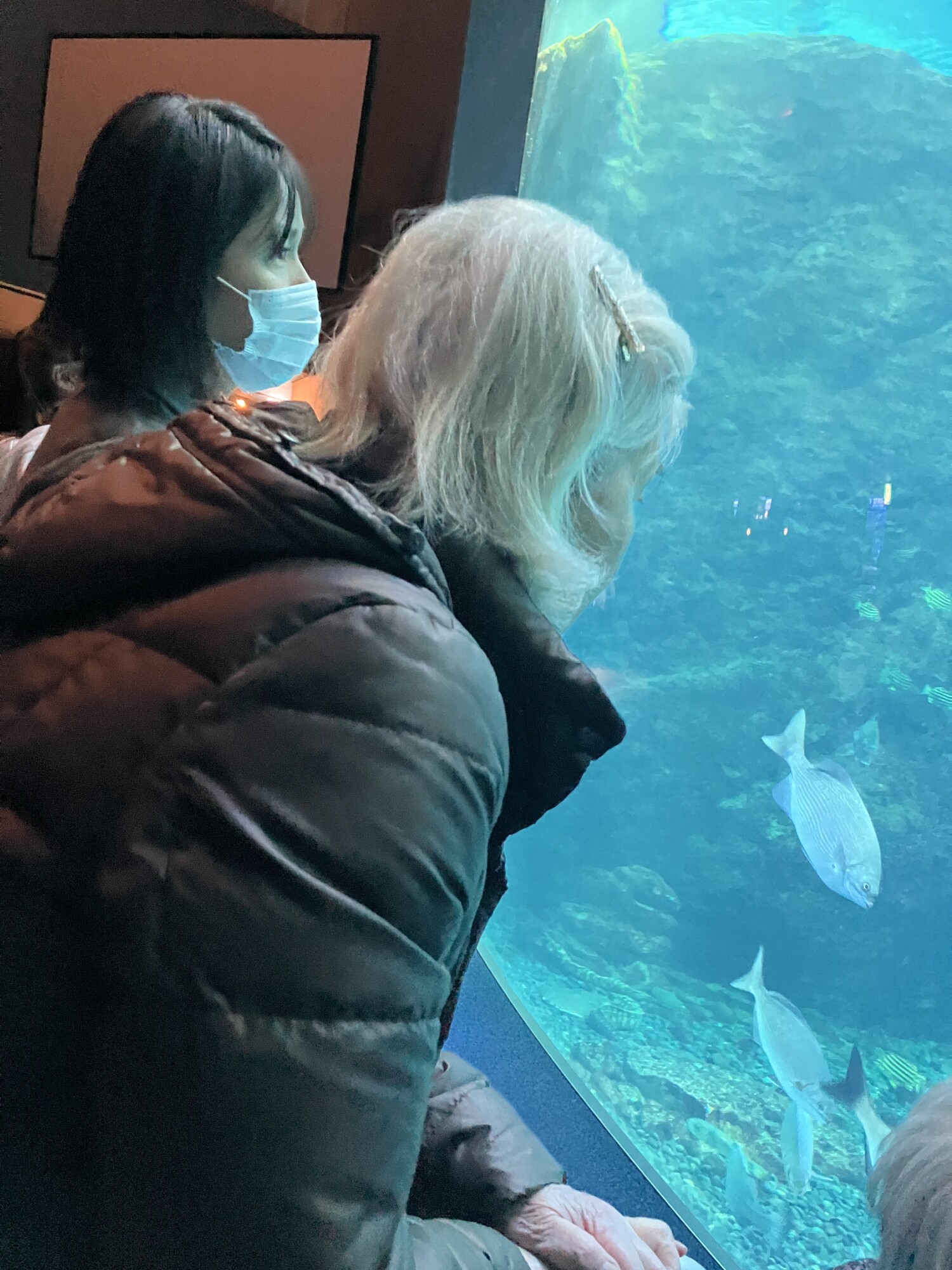 合同・外出イベントで江ノ島へ-5　ニチイホーム杉並松庵