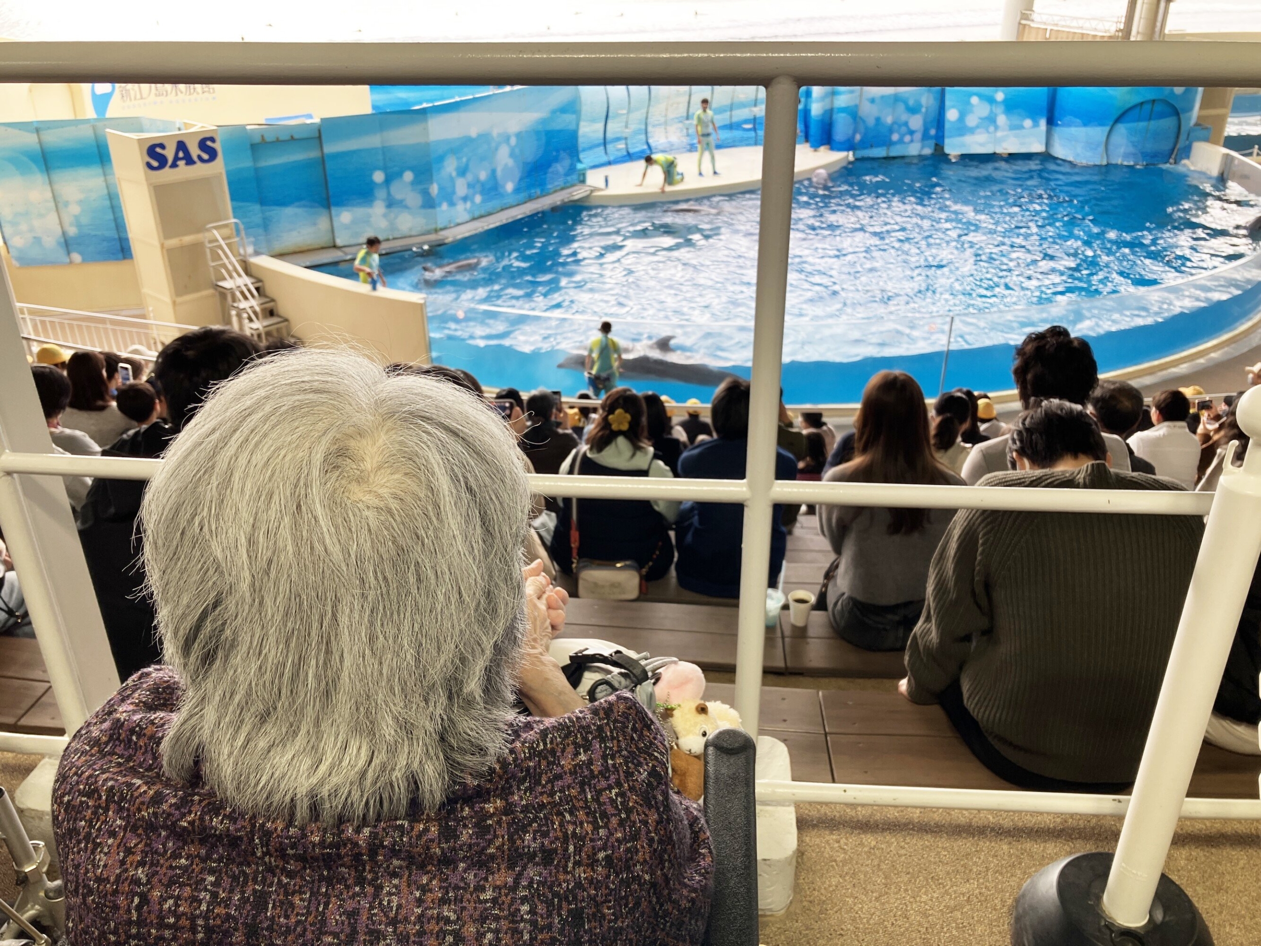 合同・外出イベントで江ノ島へ-6　ニチイホーム杉並松庵