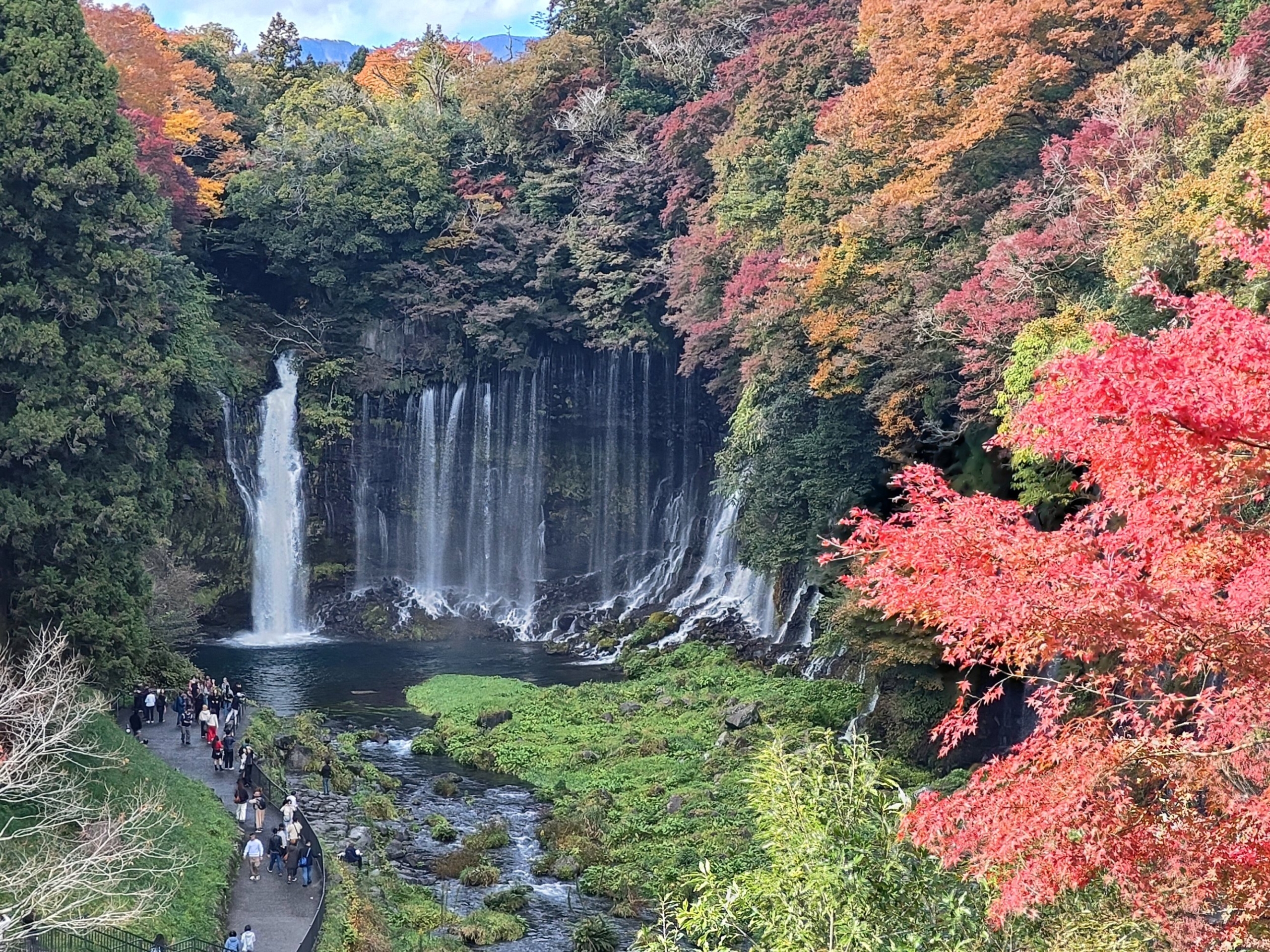 外出のご様子-1　ニチイホーム都立家政