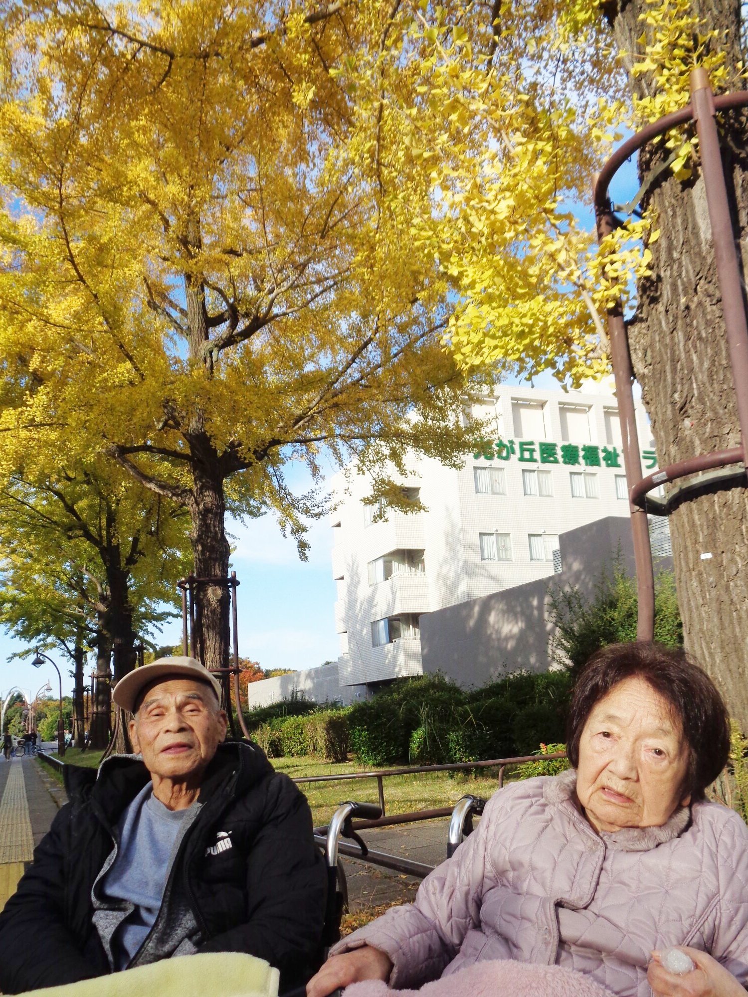 紅葉散策①-1　ニチイホーム都立家政