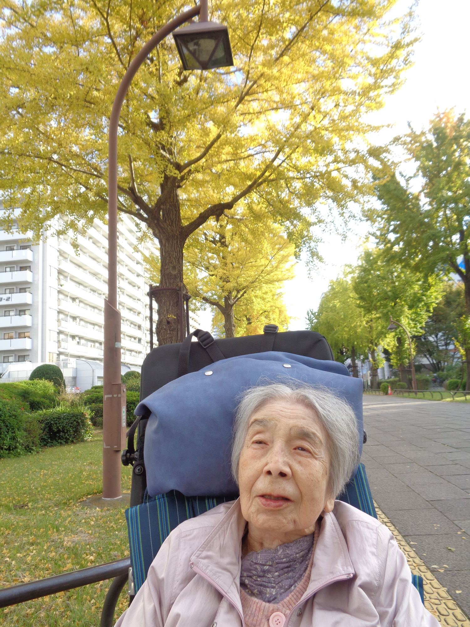 紅葉散策①-2 ニチイホーム都立家政