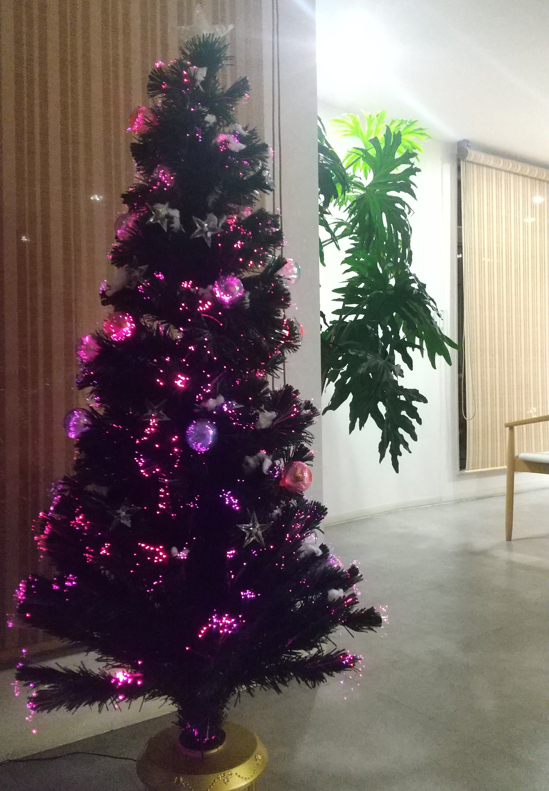 ニチイメゾン東山20251130クリスマス飾り５