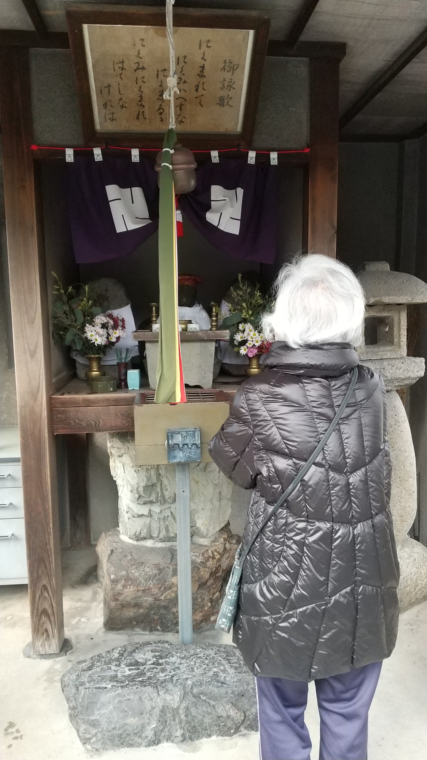 ニチイメゾン東山2025101紅葉４