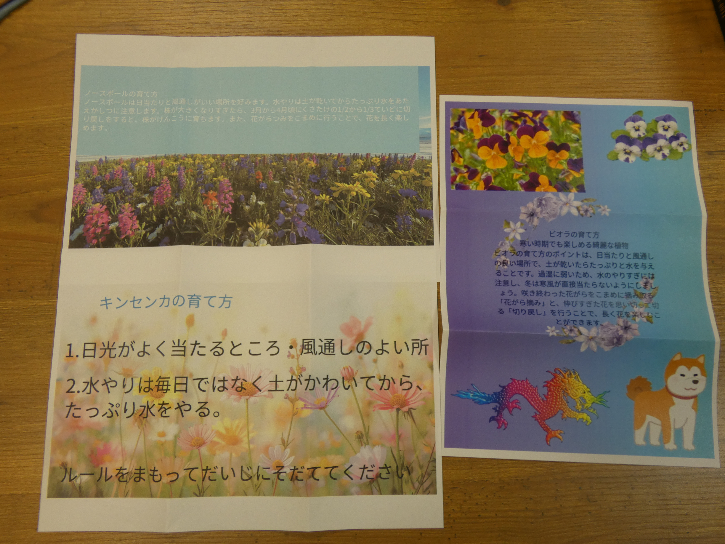 ニチイメゾン北豊島20251215花いっぱい３