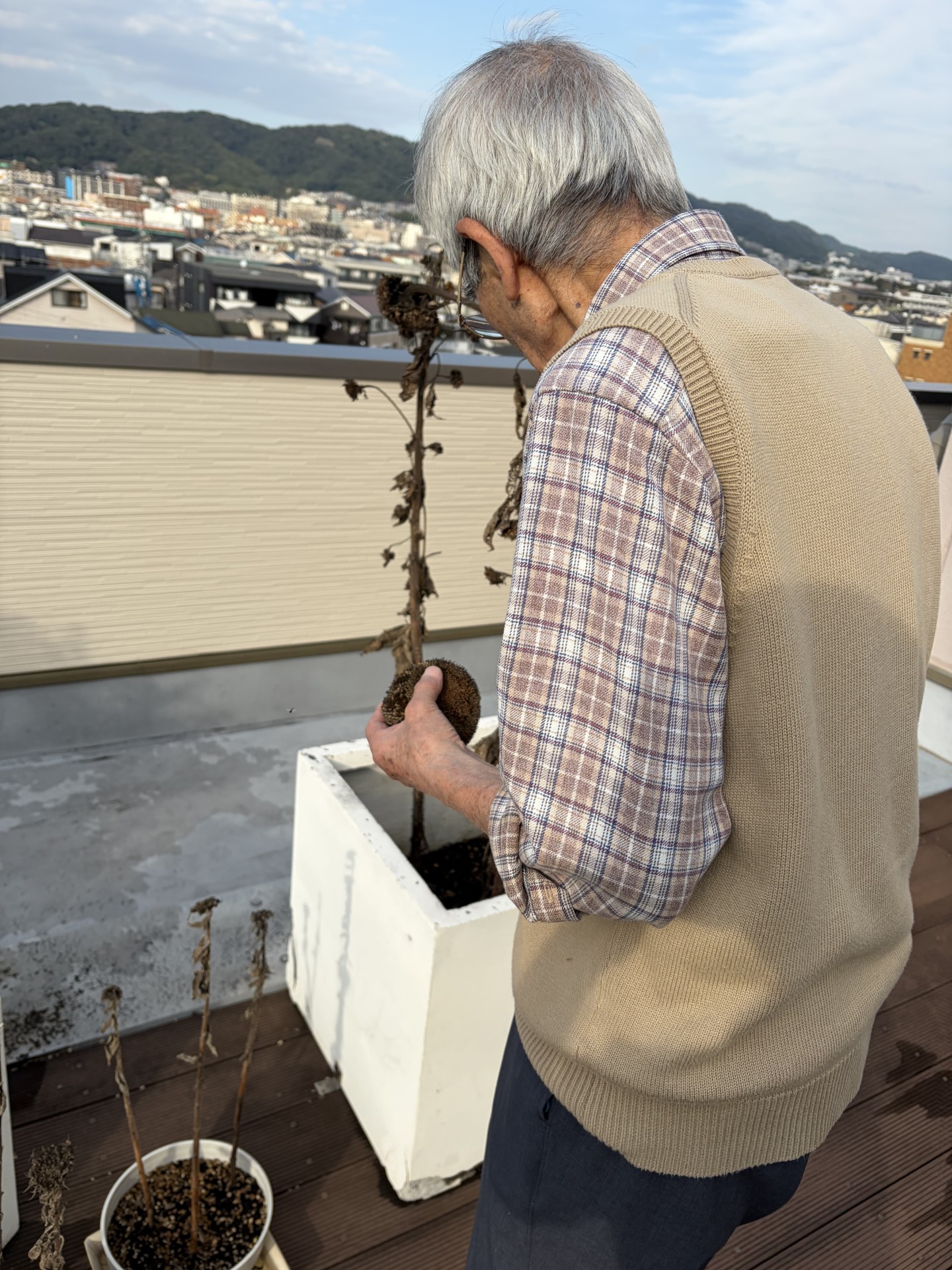 ニチイメゾン神田20251126アボカド３