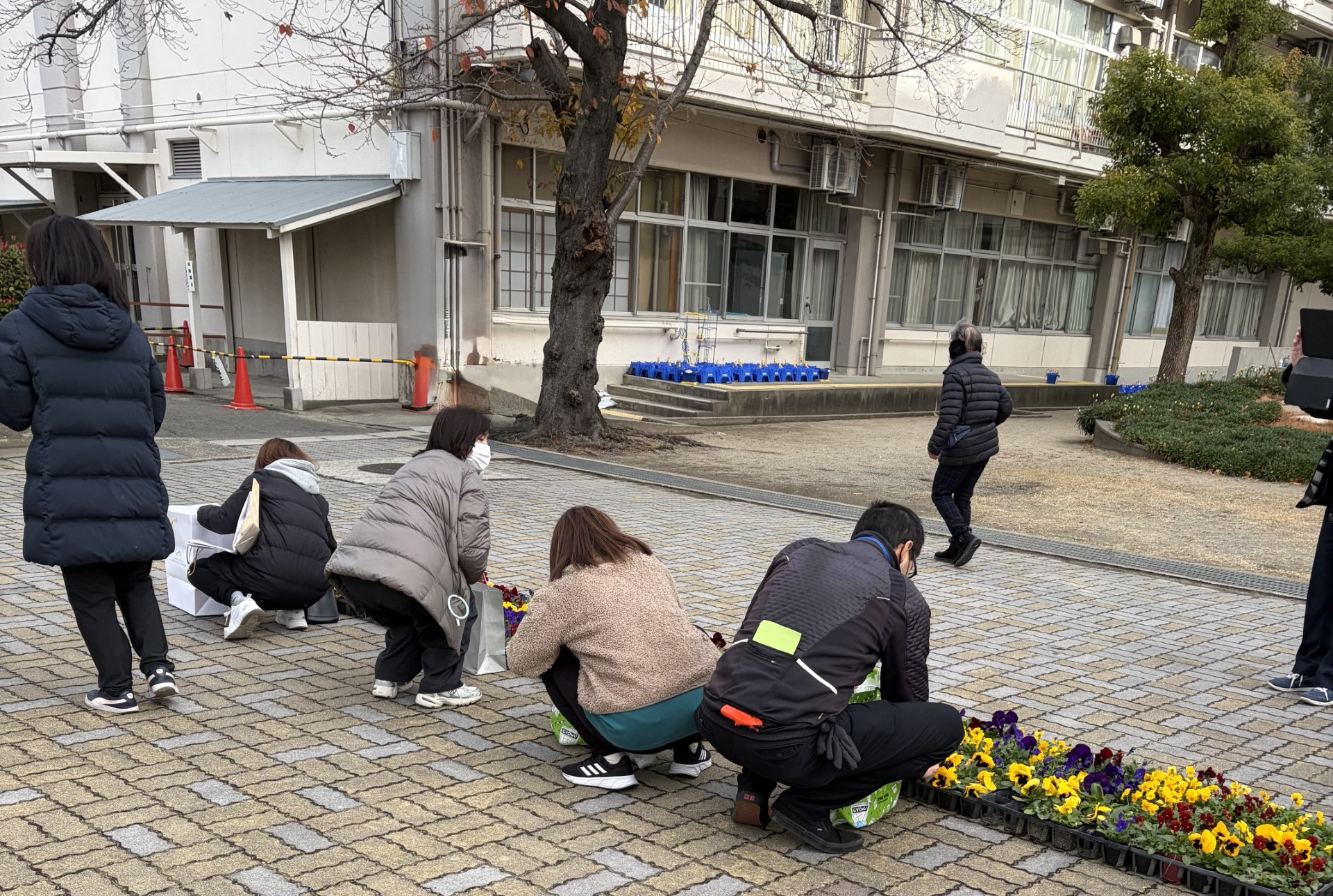 ニチイメゾン神田20251215パンジー１