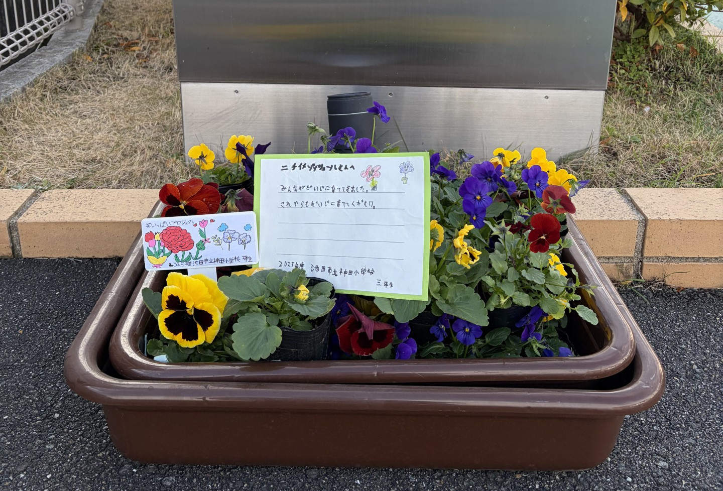 ニチイメゾン神田20251215パンジー３