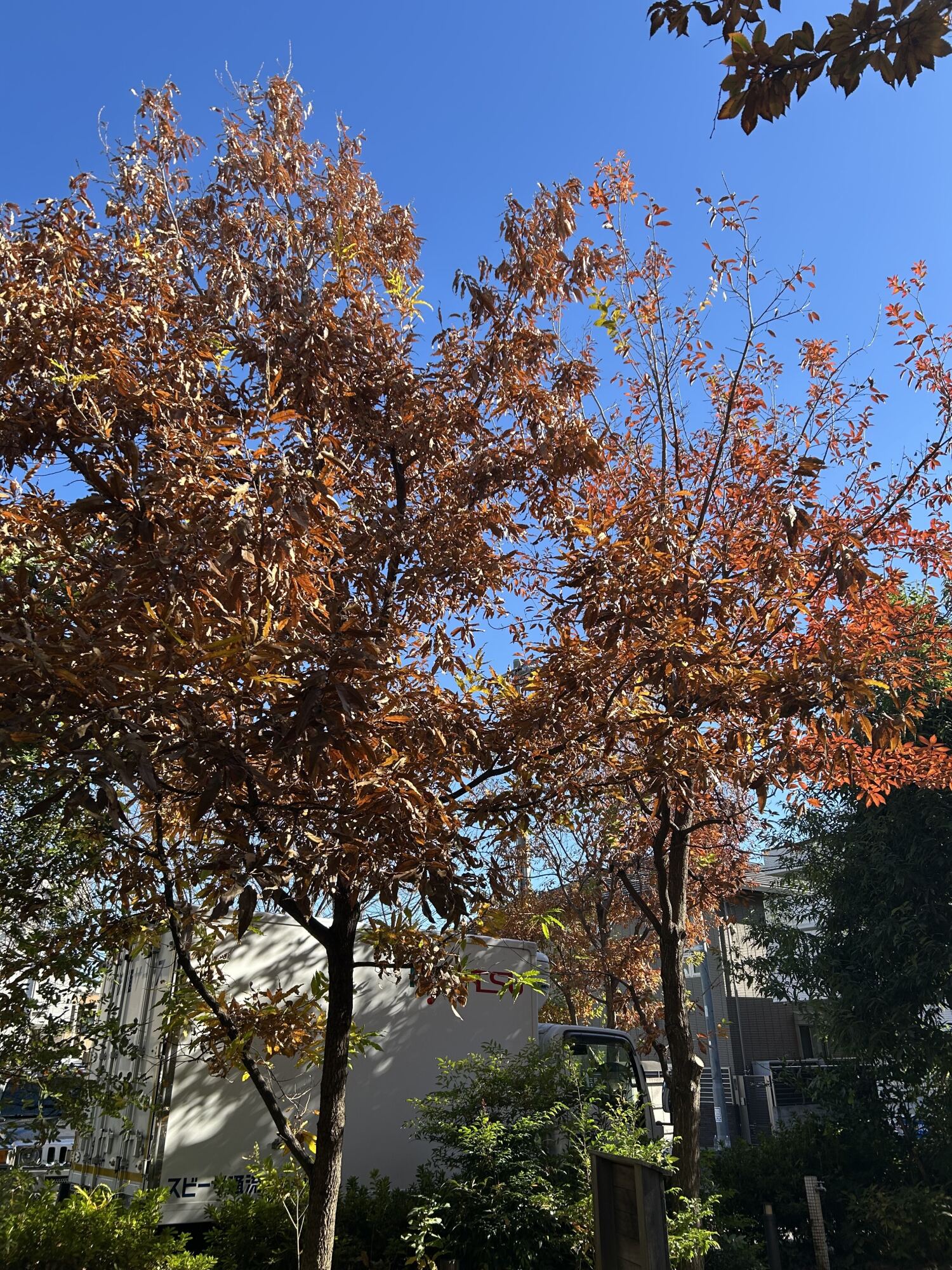 日々のご様子-5 ニチイホーム八幡山