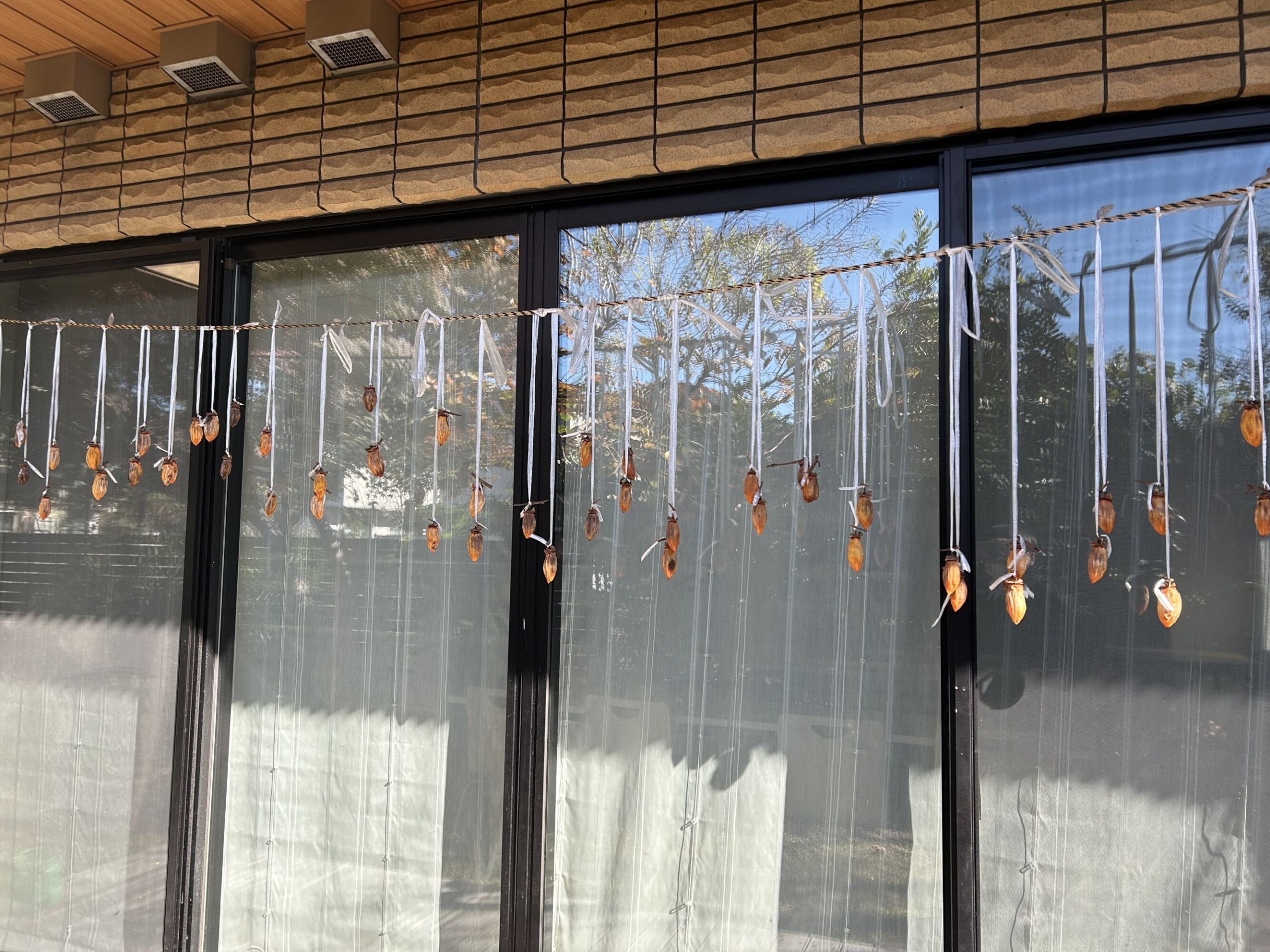 日々のご様子-2 ニチイホーム八幡山