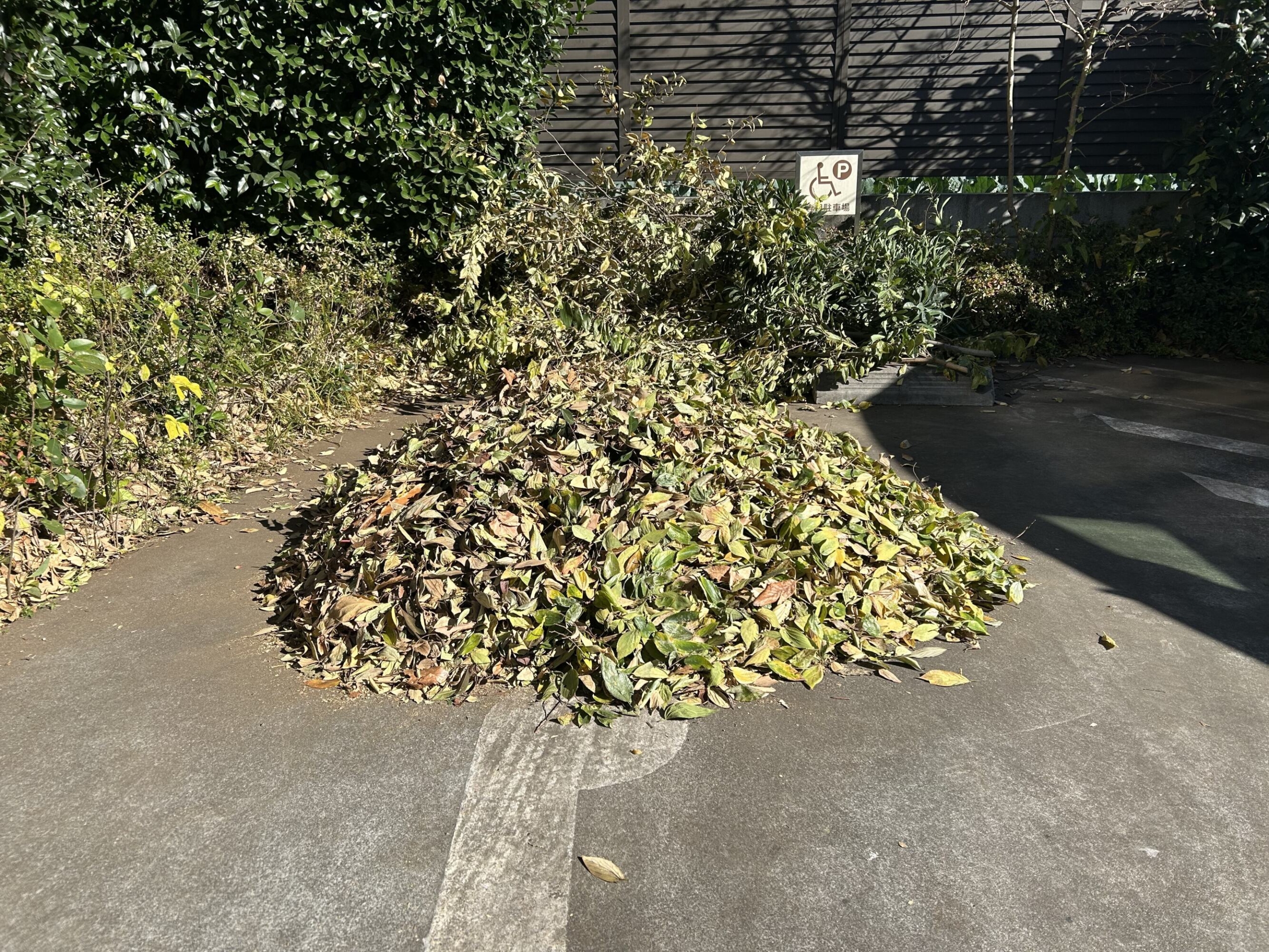 日々のご様子-3 ニチイホーム八幡山