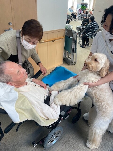 セラピー犬との触れ合い-1 ニチイホームはるひ野Ⅱ番館