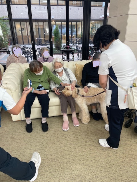 セラピー犬との触れ合い-2 ニチイホームはるひ野Ⅱ番館