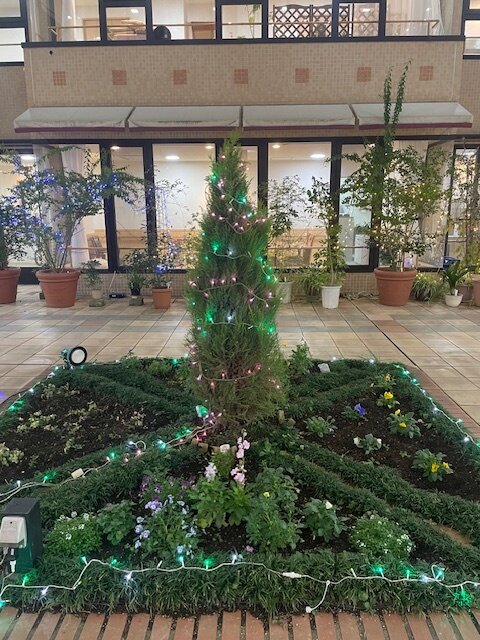 中庭のクリスマスイルミネーション-2　ニチイホームはるひ野Ⅱ番館