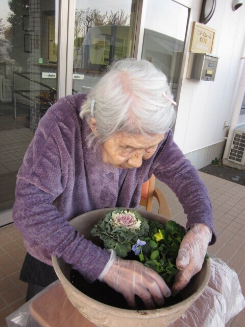 花の寄せ植え-3　ニチイホーム東府中